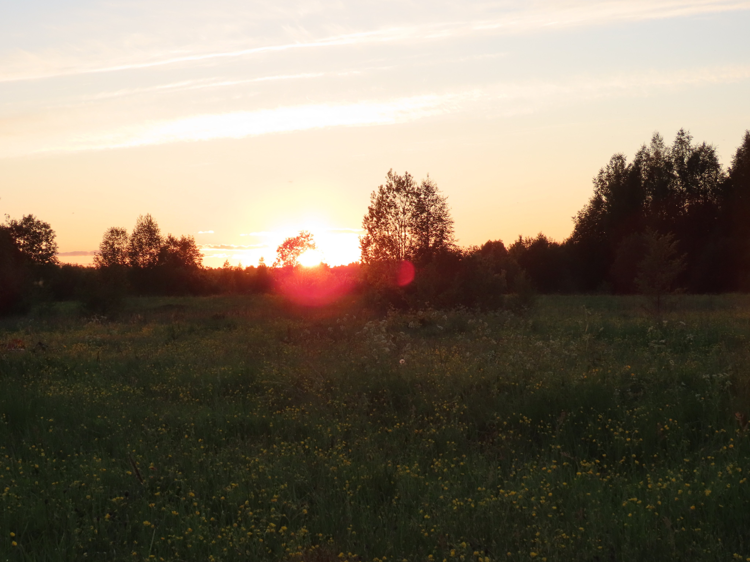 Чухлома — 20. Своя Мастерская