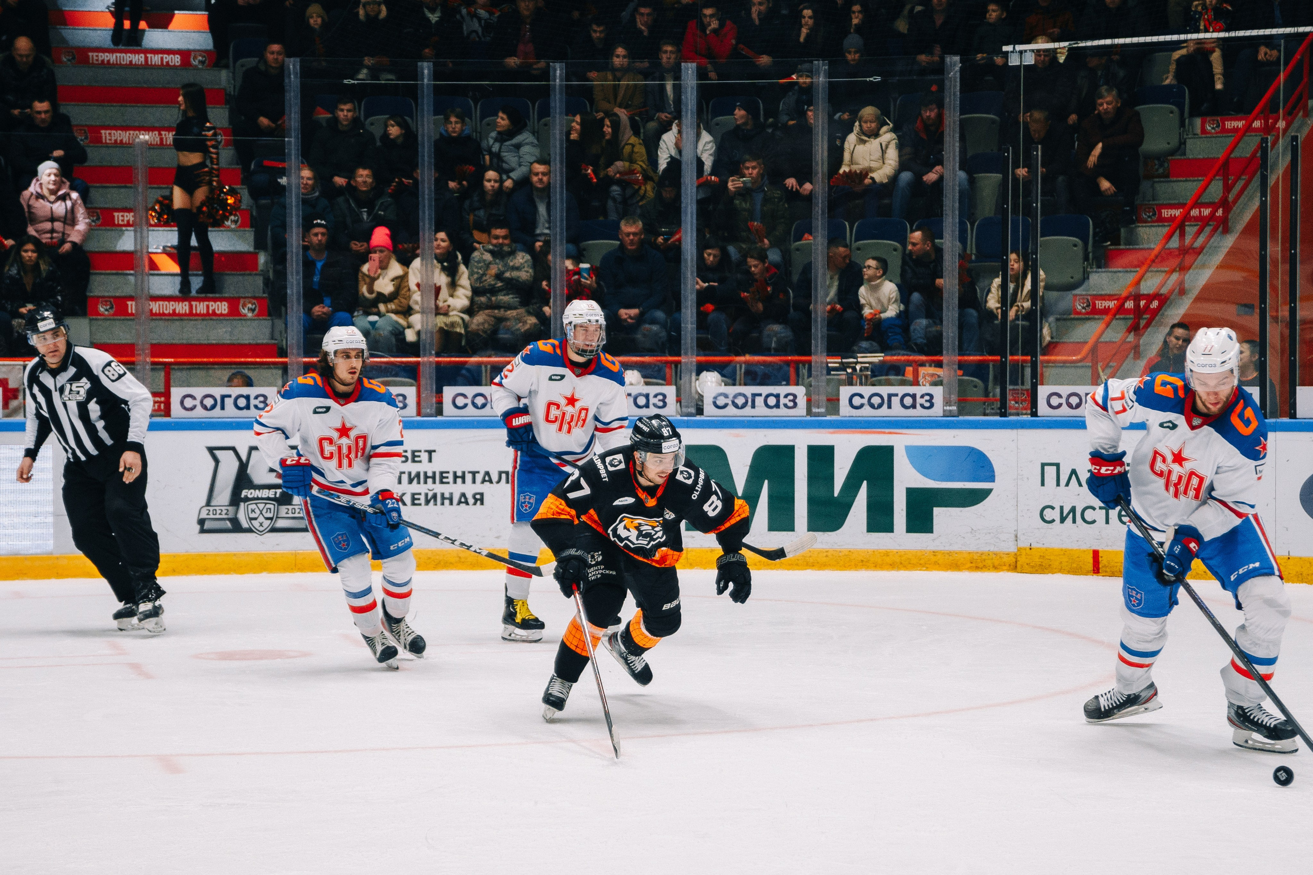 Олимбет и Амур. Фотограф в Хабаровске Швендых Рудольф