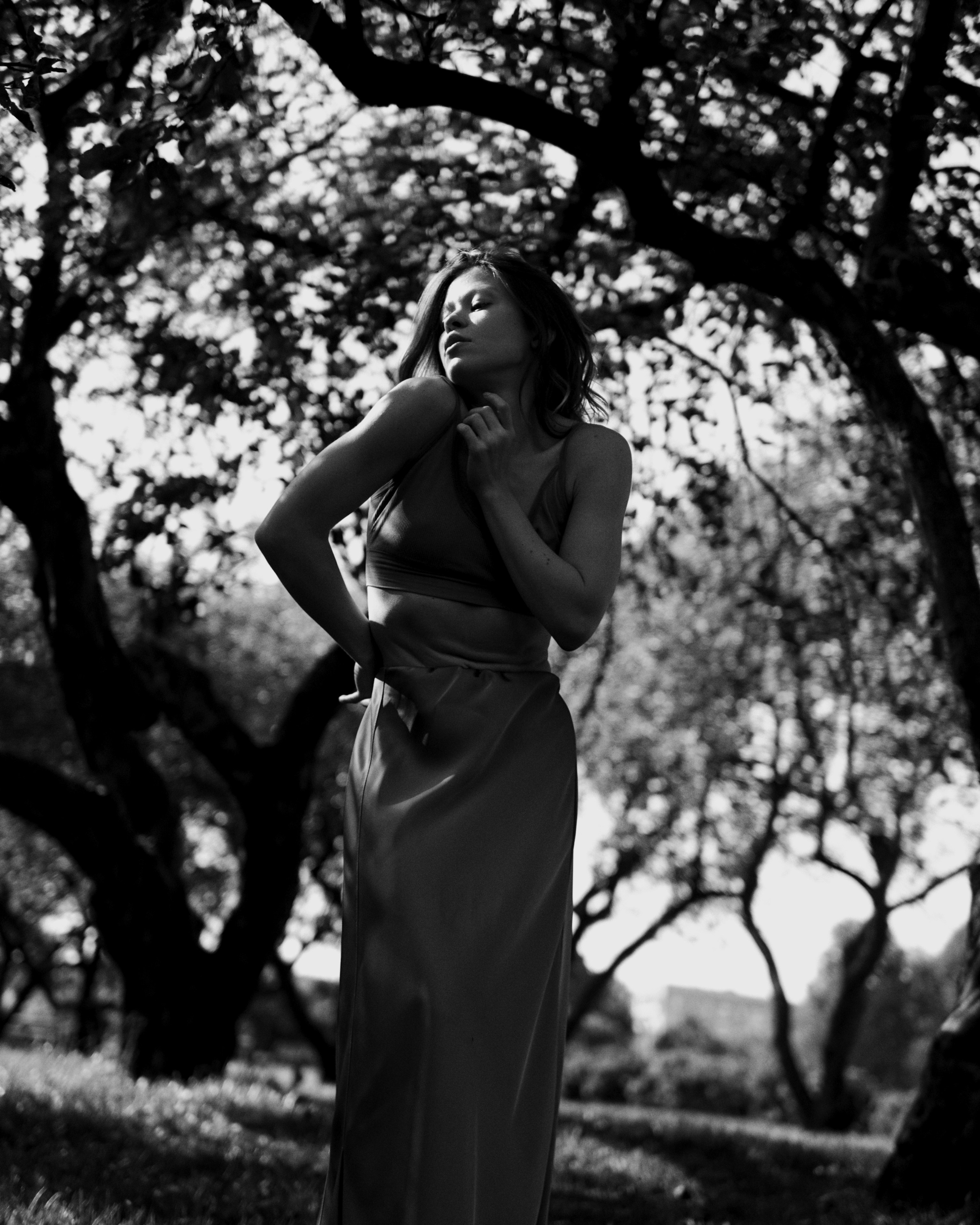 Dancing in the shade of trees