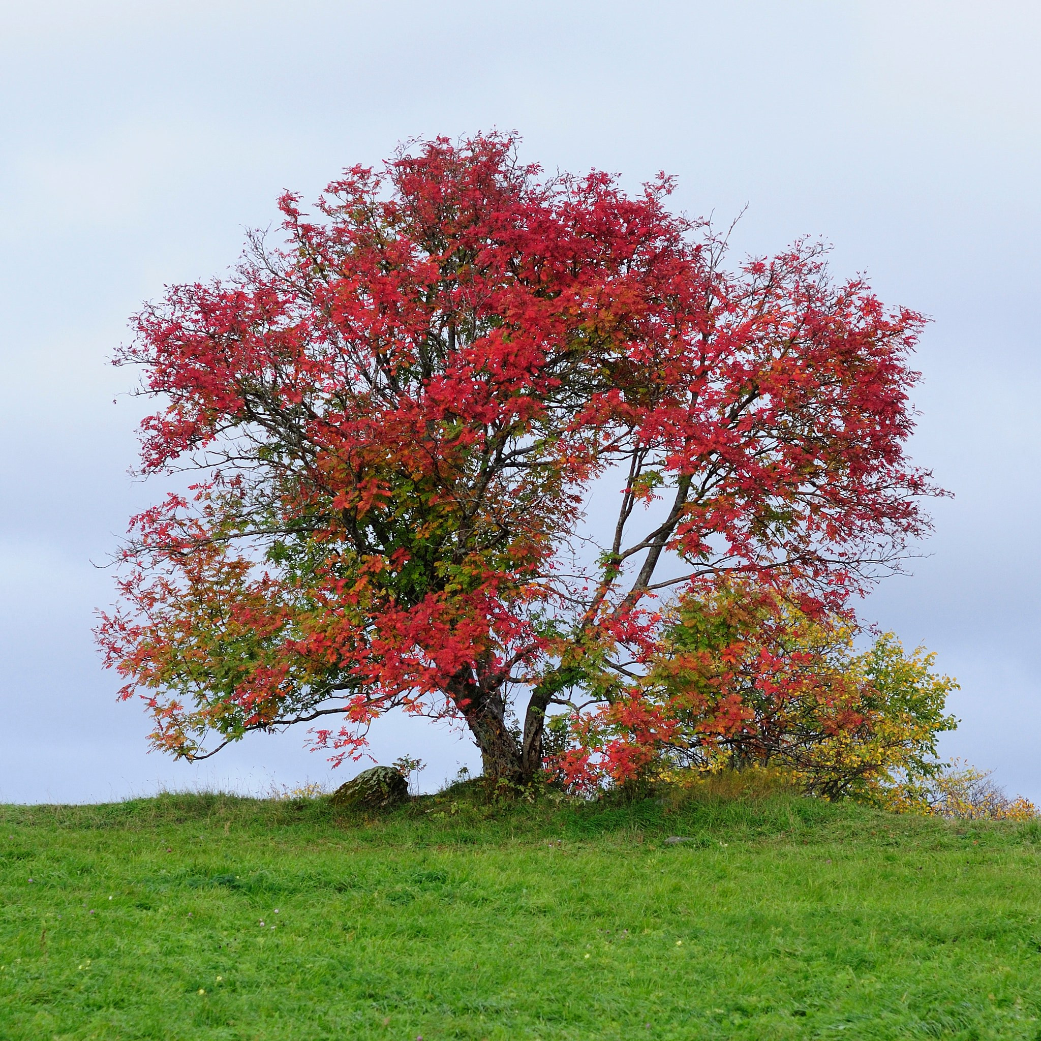 Пейзаж. Фотограф и видеооператор из Москвы Алексей Черкасов