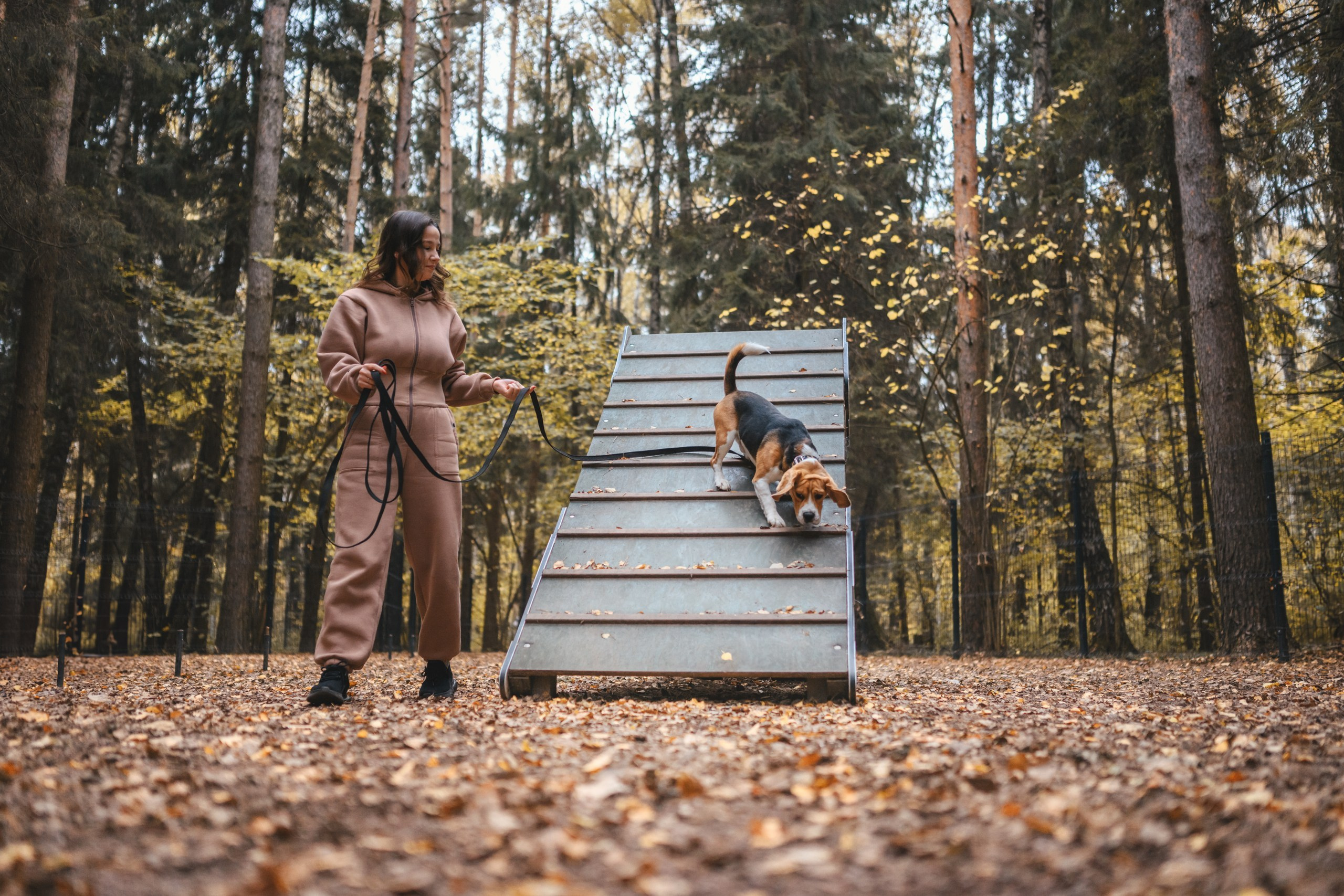 Наталья и Бока. Фотограф Анималист в Москве Анастасия Жучкова