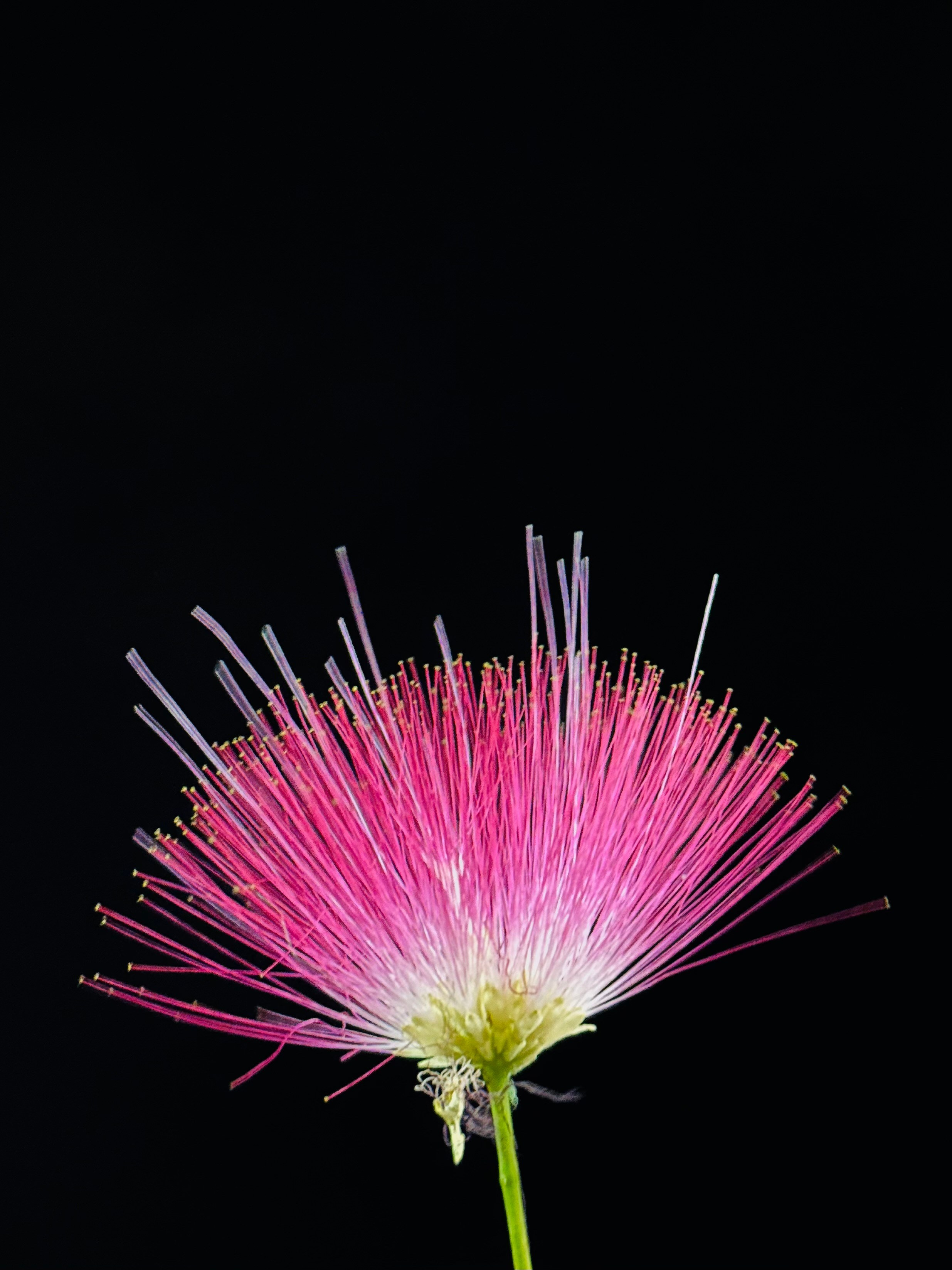 EXHIBITION. Репортажный и интерьерный фотограф, фотохудожник