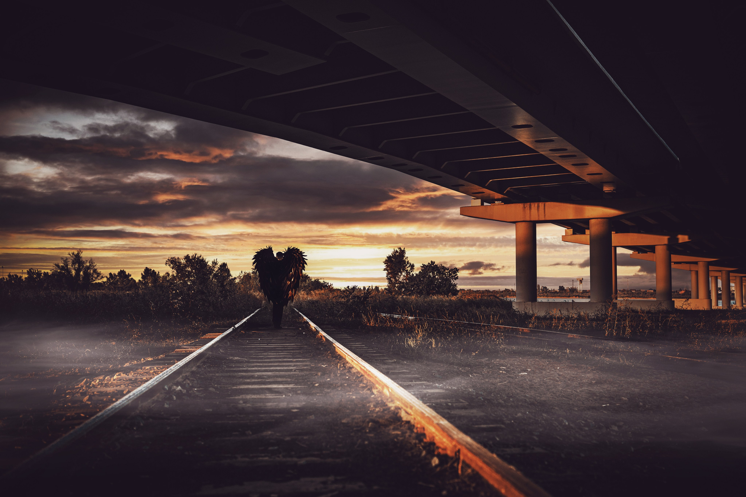 Профессиональный фотограф в Волгодонске Алексей Рубашевский