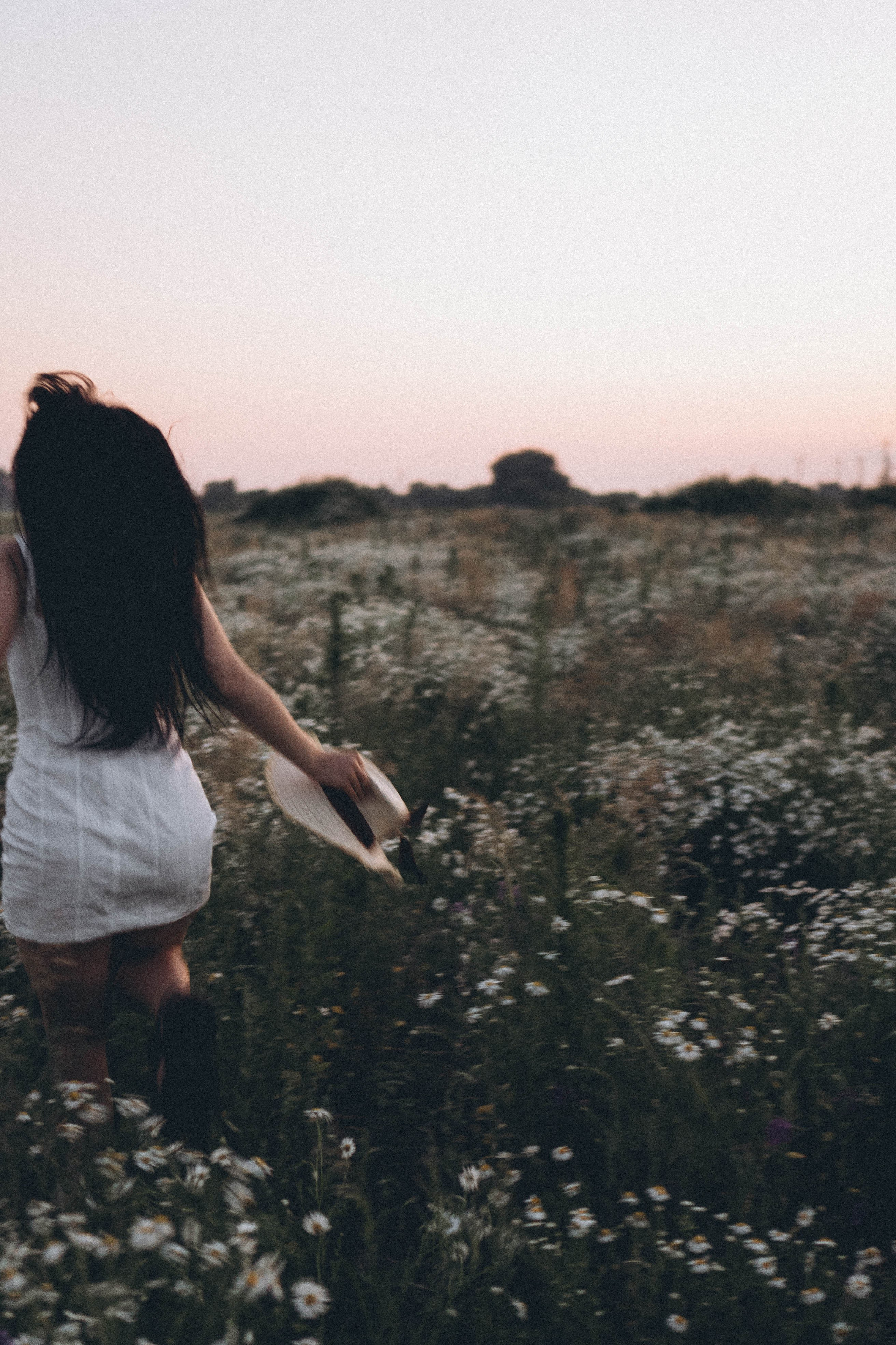 Ромашковое поле. Профессиональный фотограф, Санкт-Петербург — Виктория Богомолова