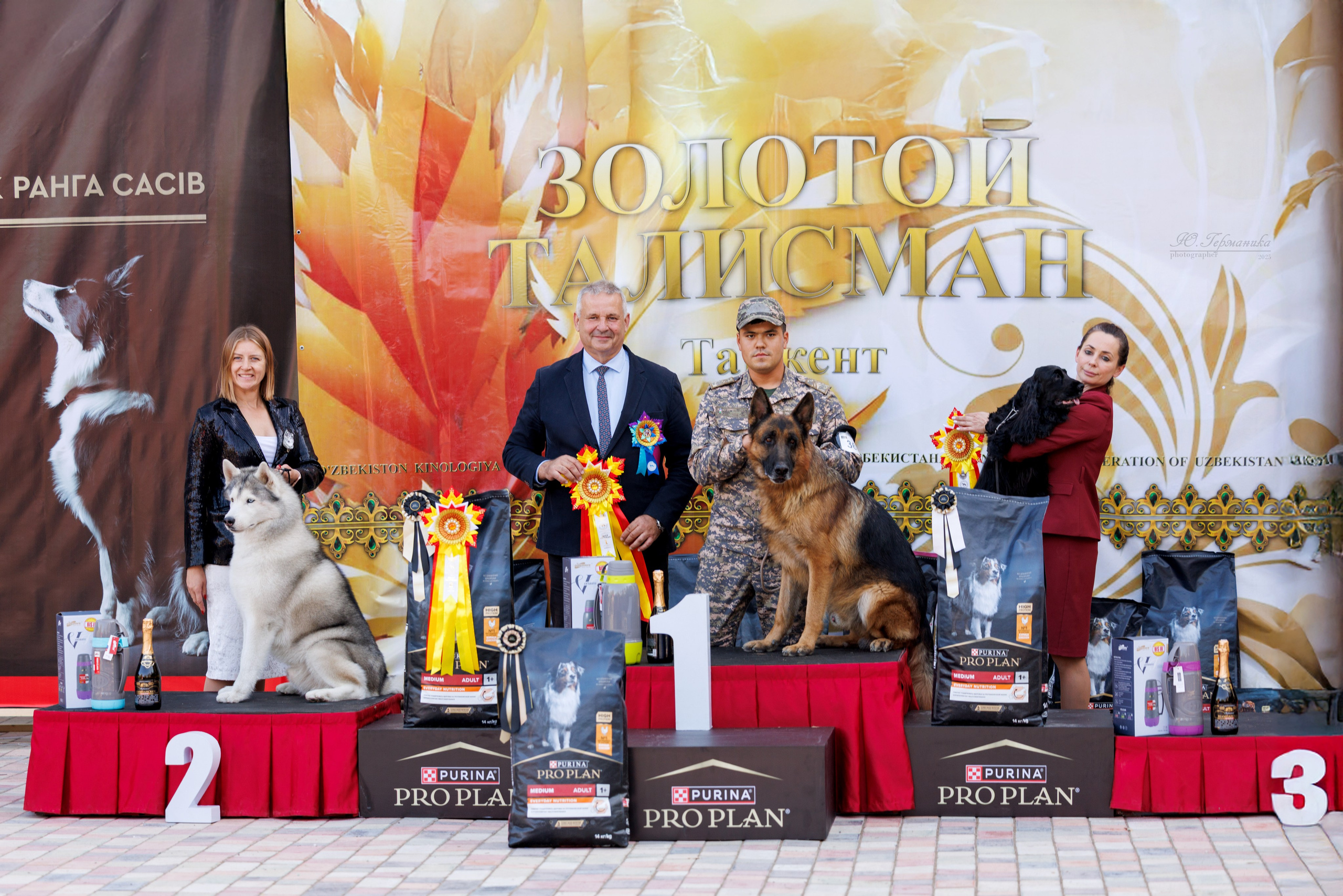 Ташкент 3хCACIB 3-5.10.2025. Фотограф-анималист Юлия Германика