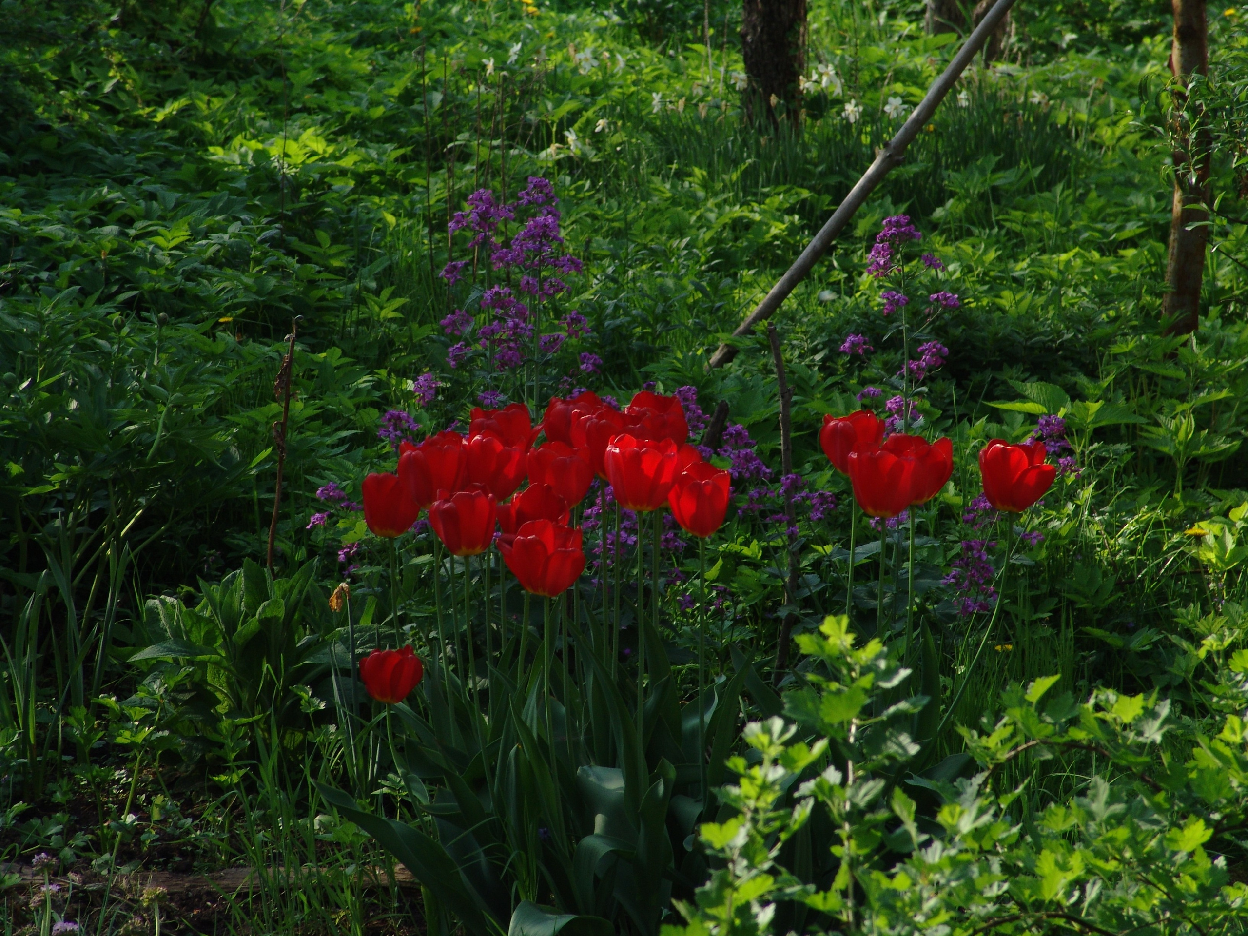 Приезд КС 2005. Заставка
