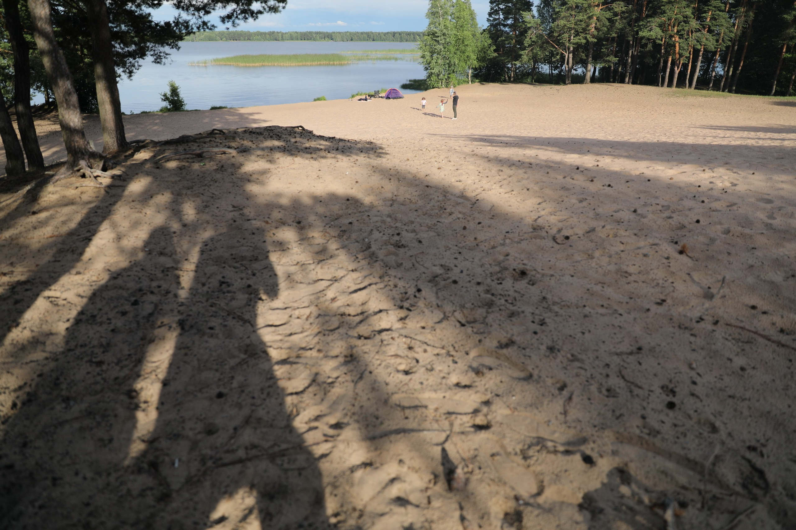 Пых 14 07 2020. Заставка