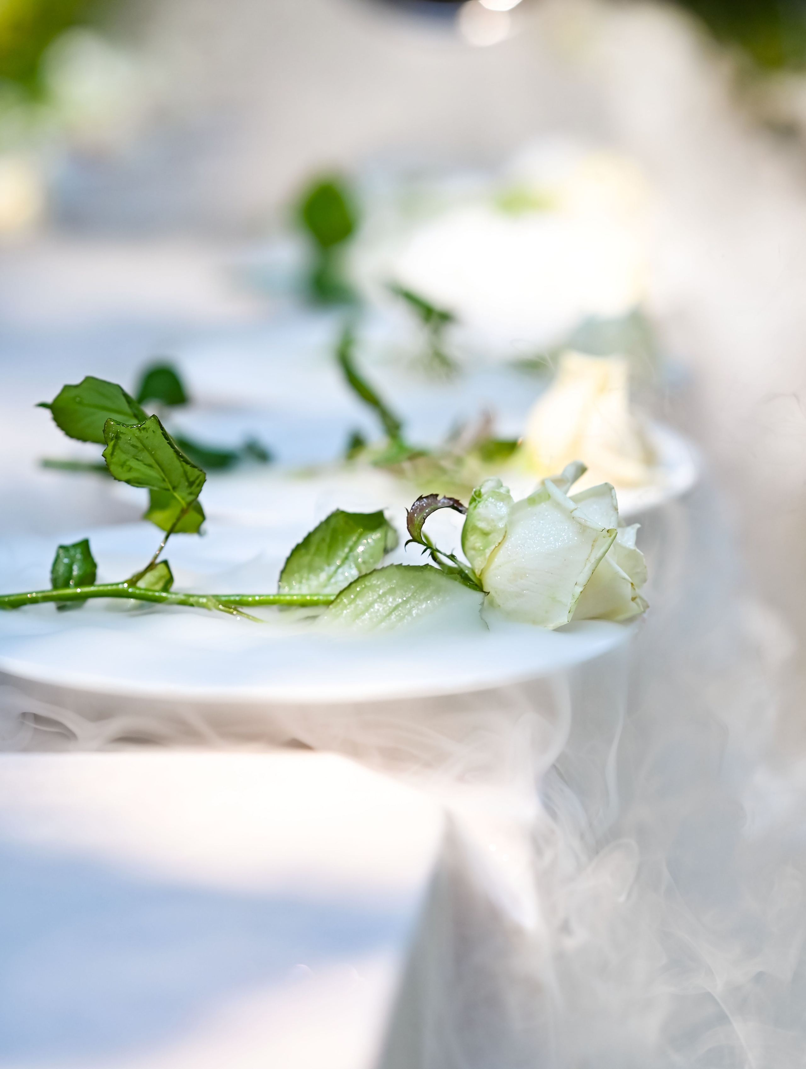 . ZDARONOKIA Репортажный фотограф