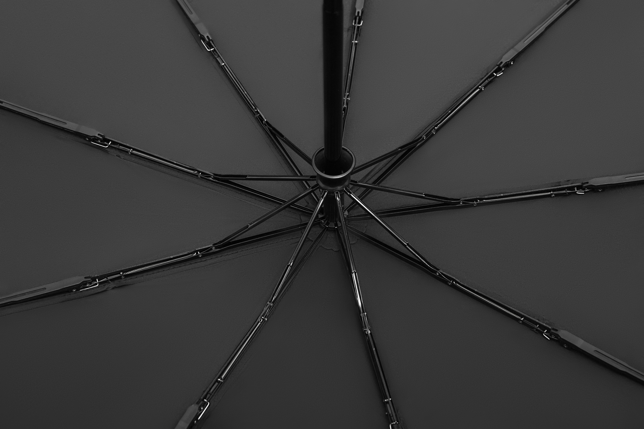 Предметка. Фотограф Михаил Белозеров