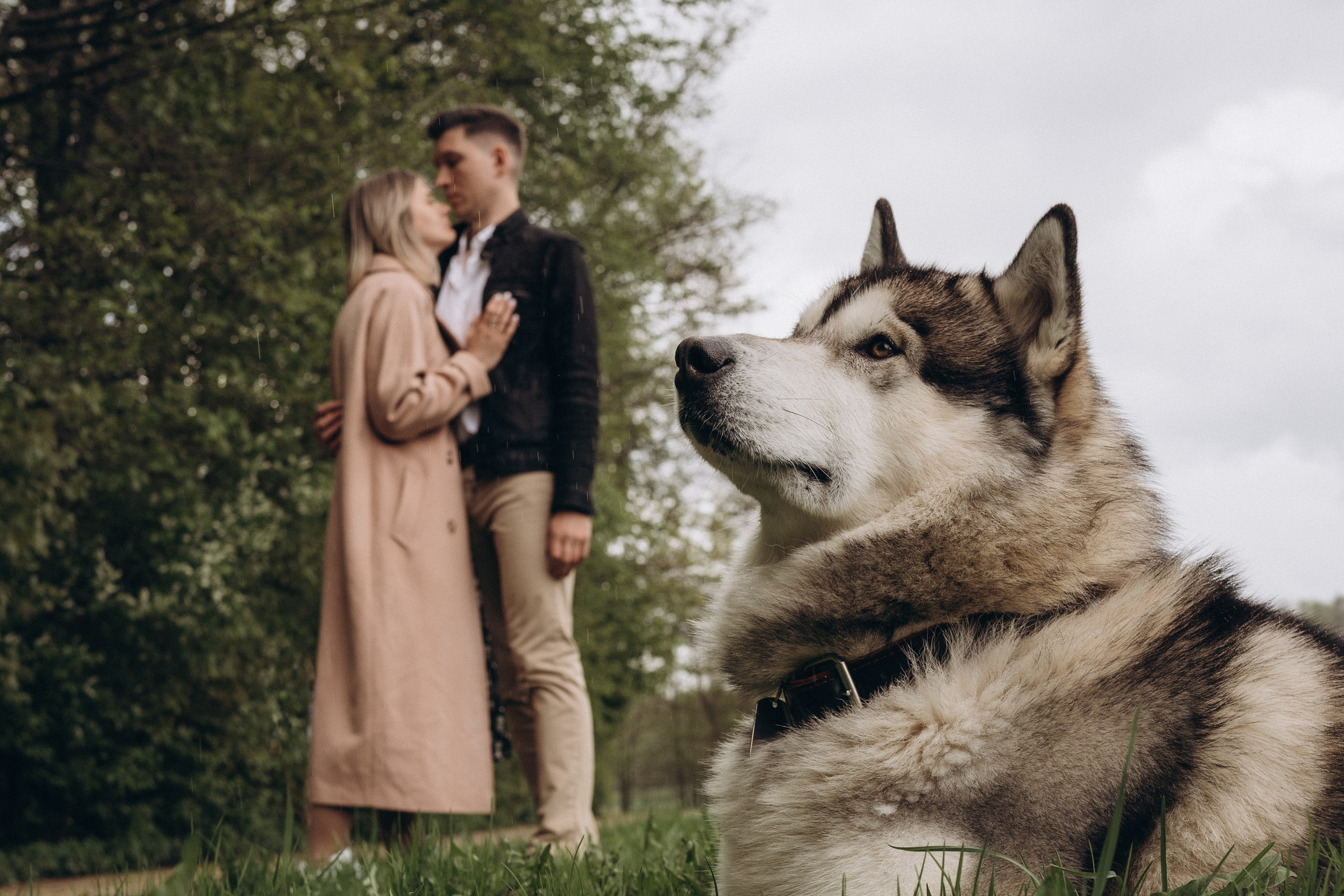 Про ЛЮБОВЬ. Дмитриева Светлана женский и семейный фотограф Рига, Москва, Геленджик