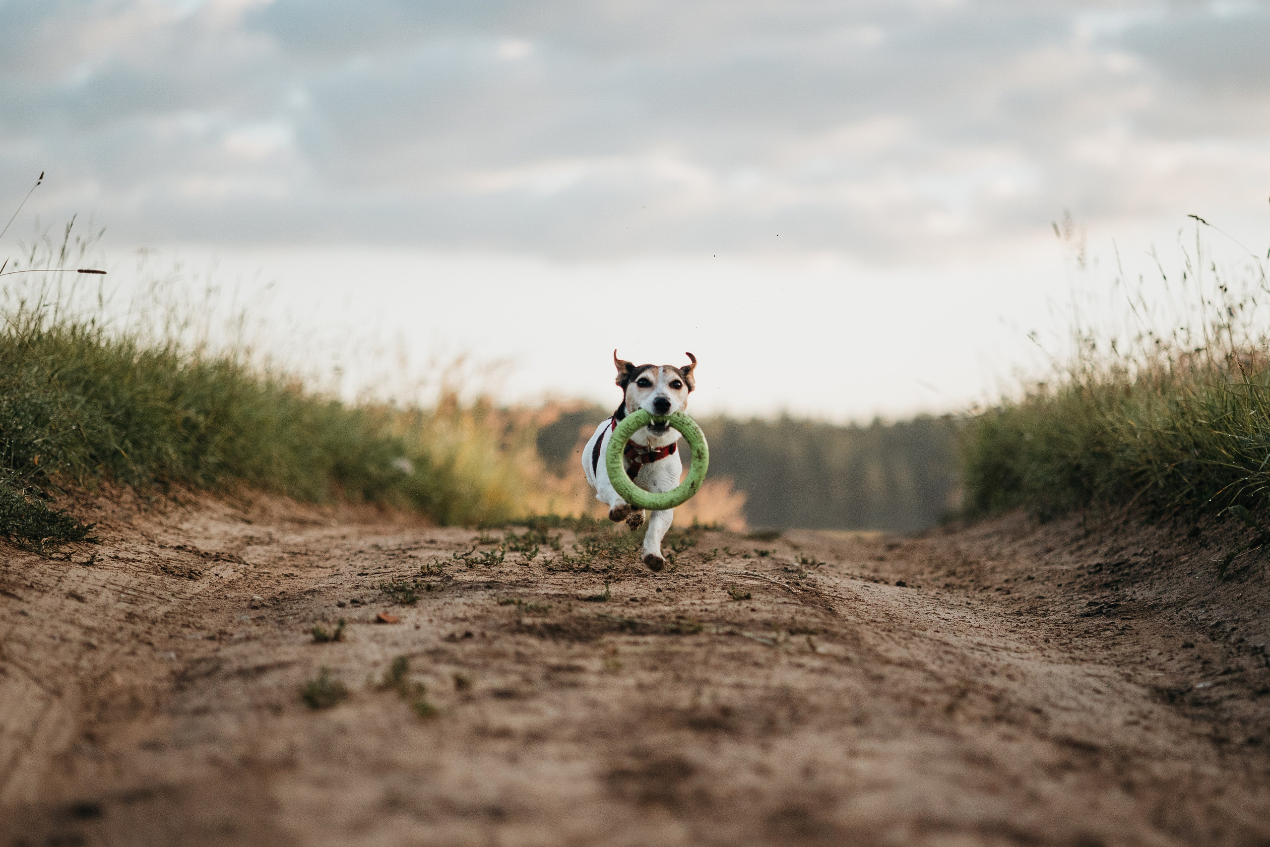 Маша и Персик. Фотограф — Анималист | Санкт-Петербург