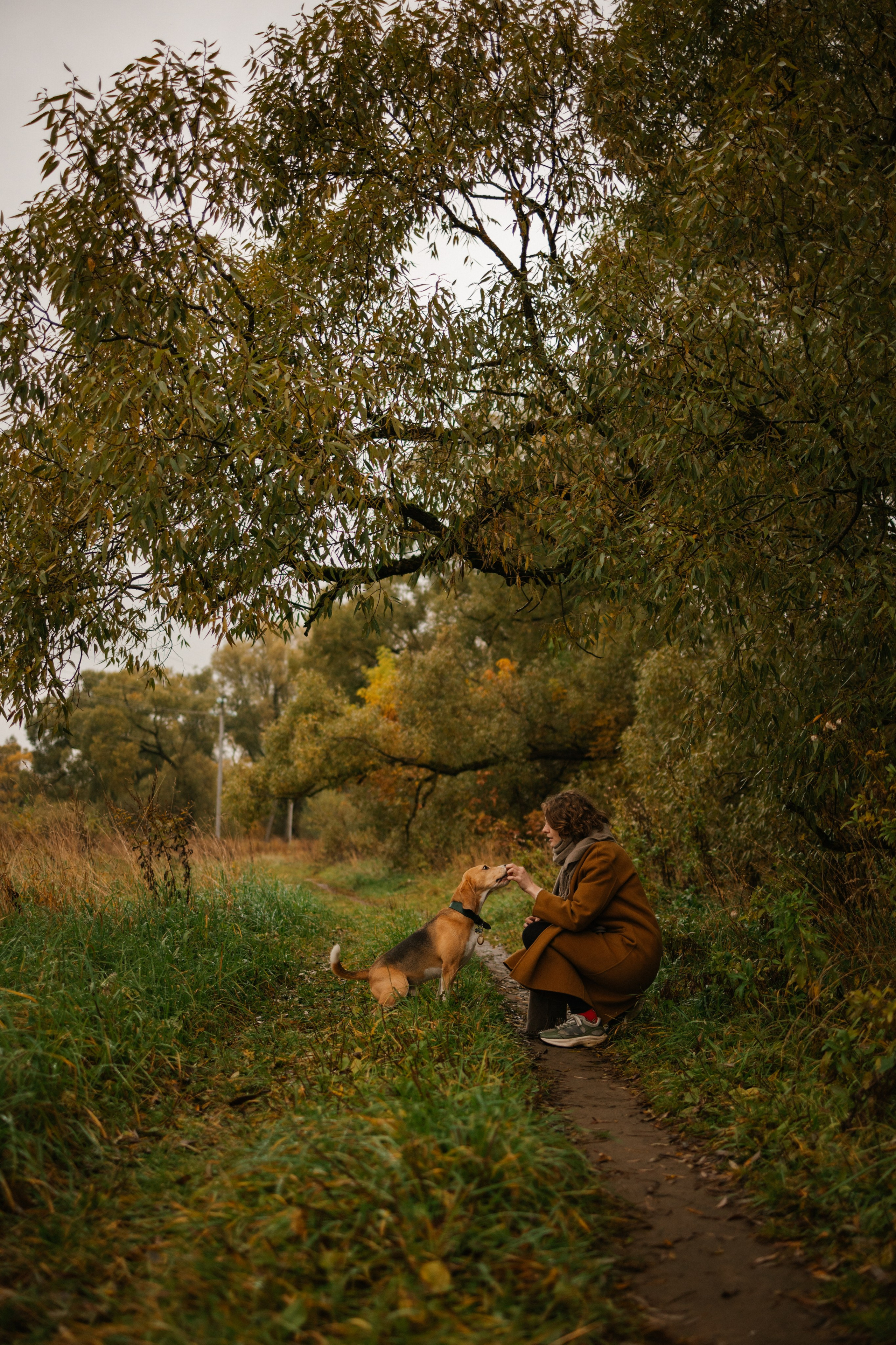 Лена и Тайгер. Фотограф — Анималист | Санкт-Петербург