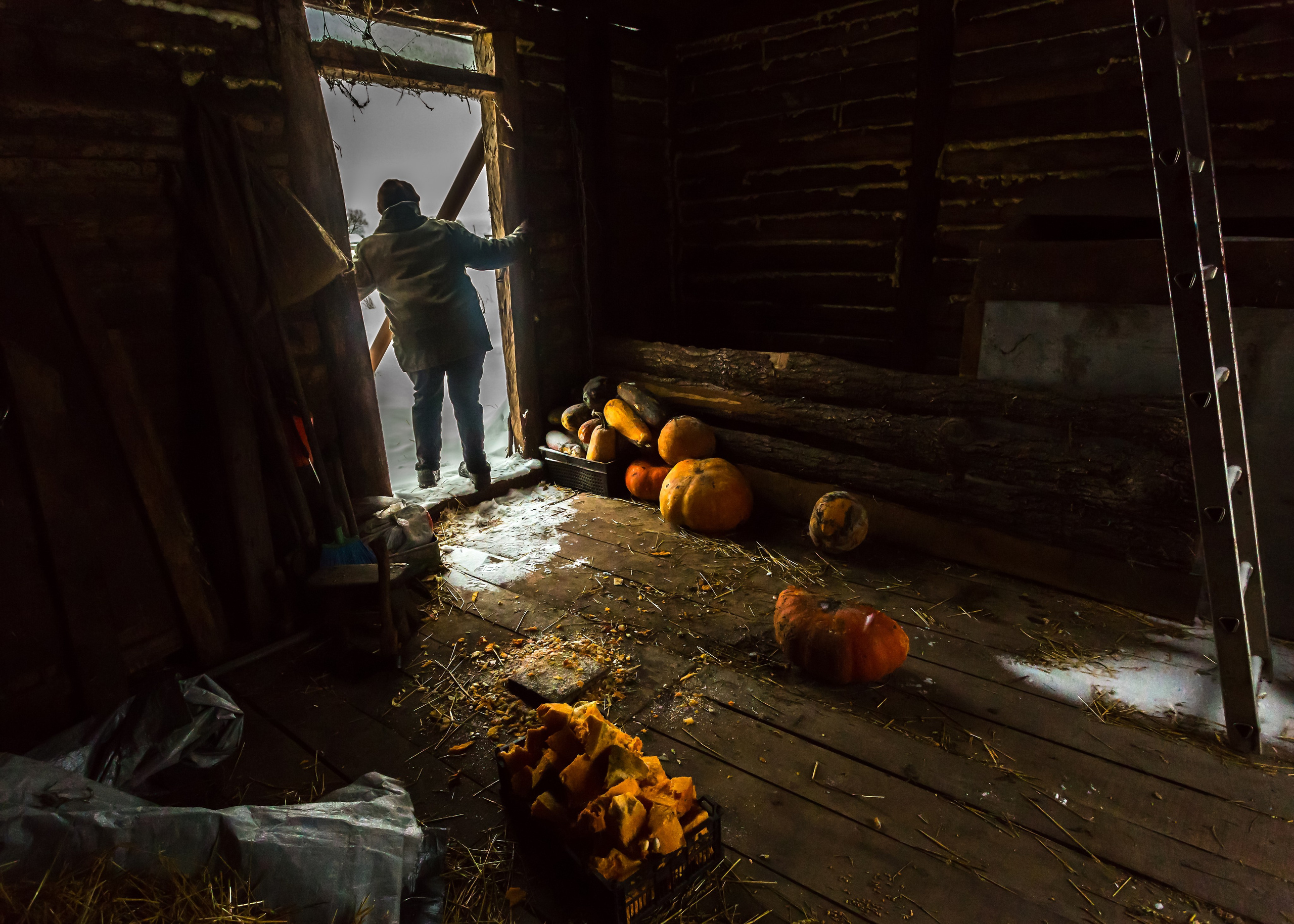 ТАТЬЯНИН ДЕНЬ. Контакты