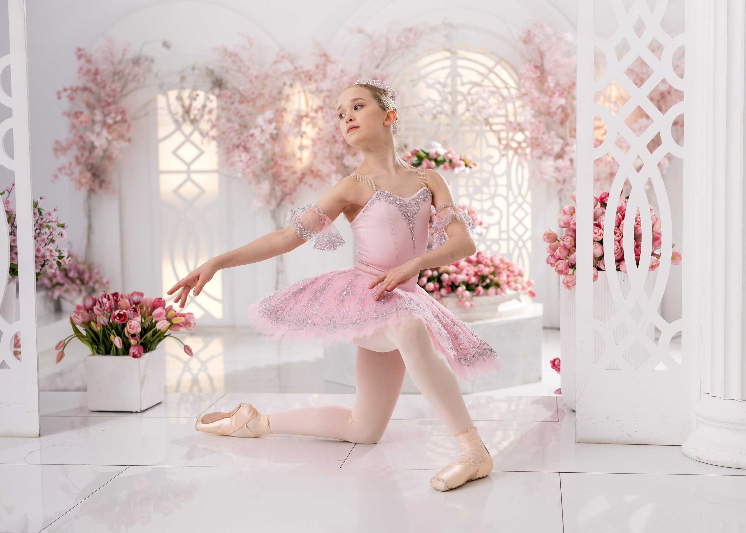 Балетная съёмка в интерьере. Балетный фотограф Алина Ханько — Душа Балета