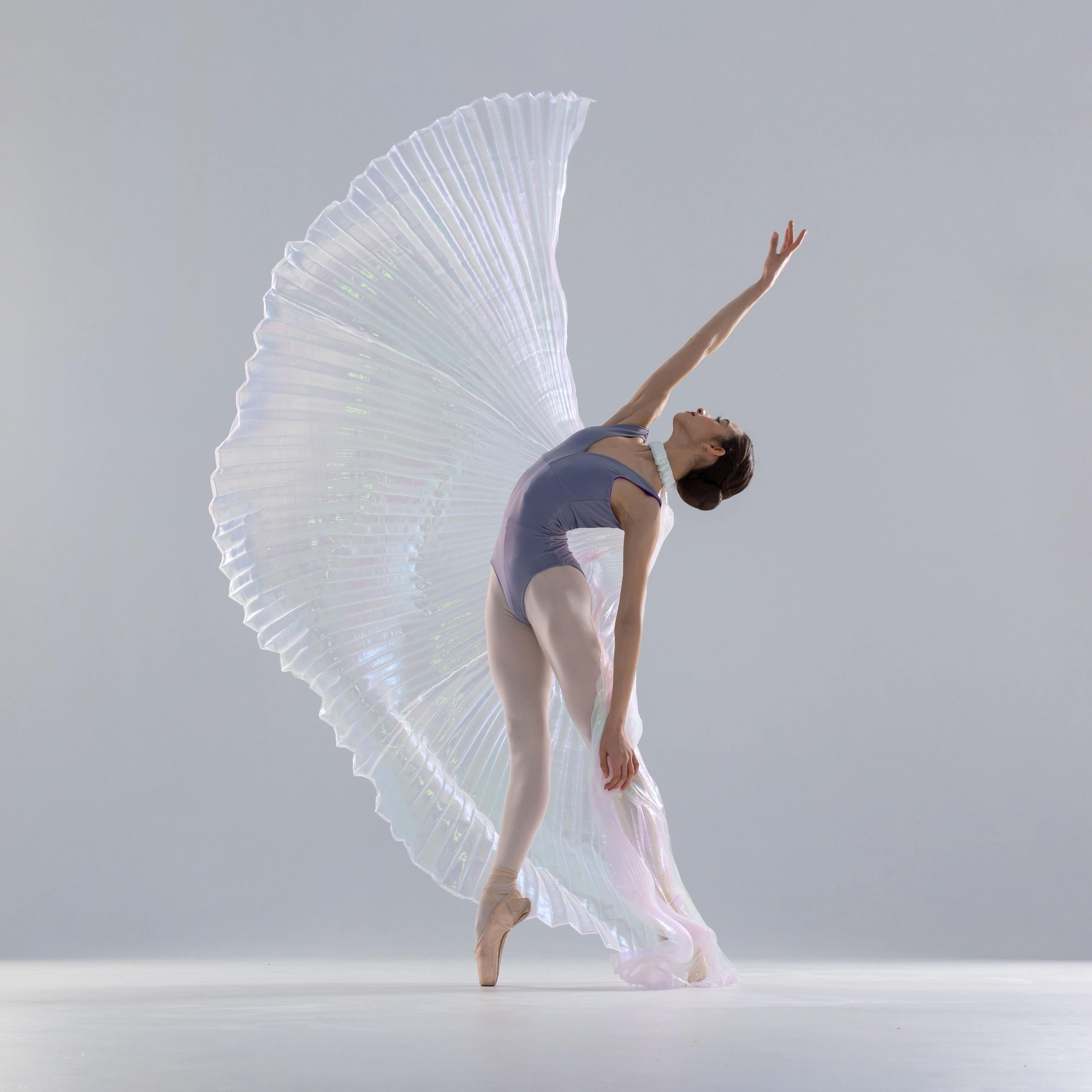 Крылья перламутровые напрокат бесплатно. Балетный фотограф Алина Ханько — Душа Балета