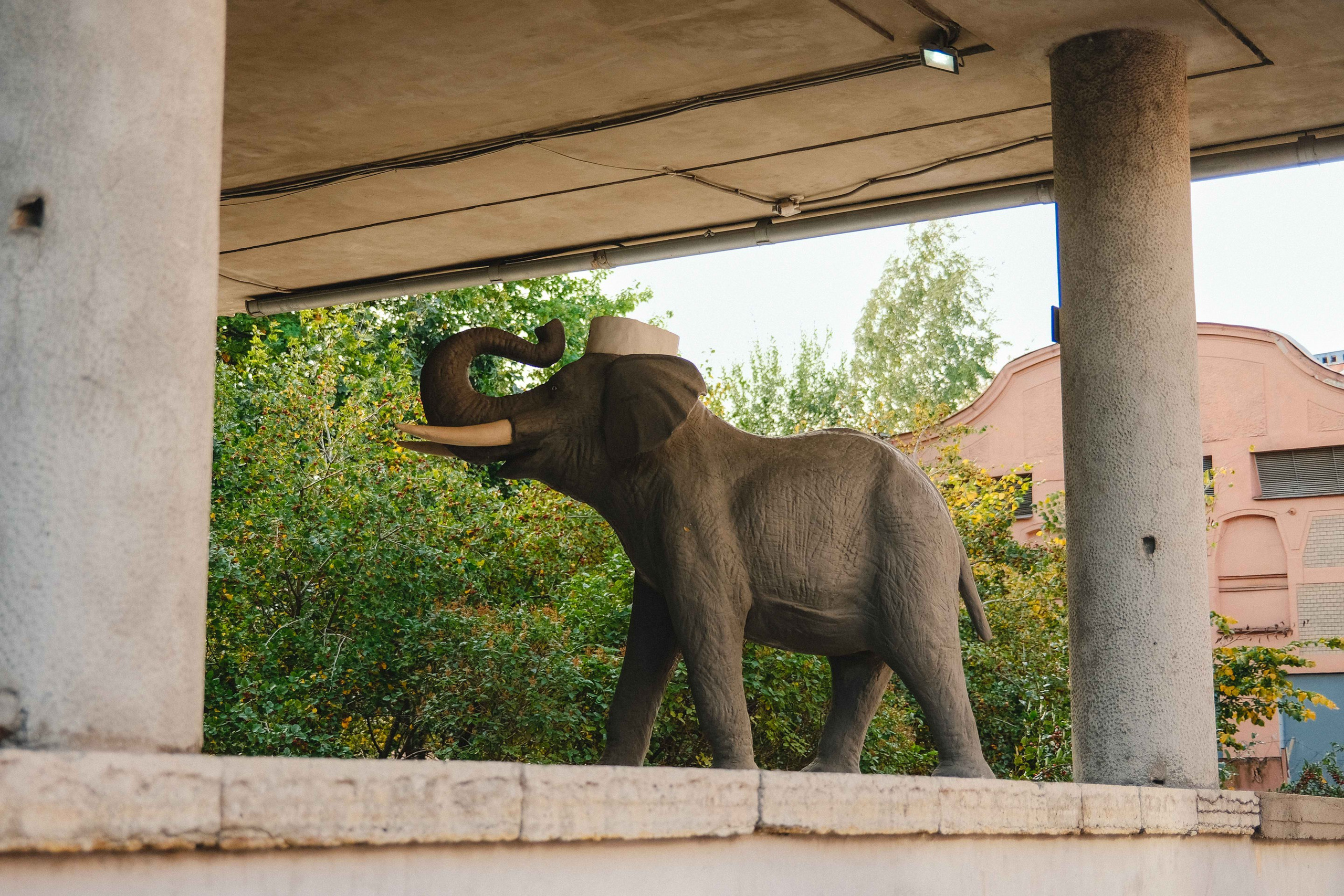 2023.09. Фотограф Алексей Алексеев
