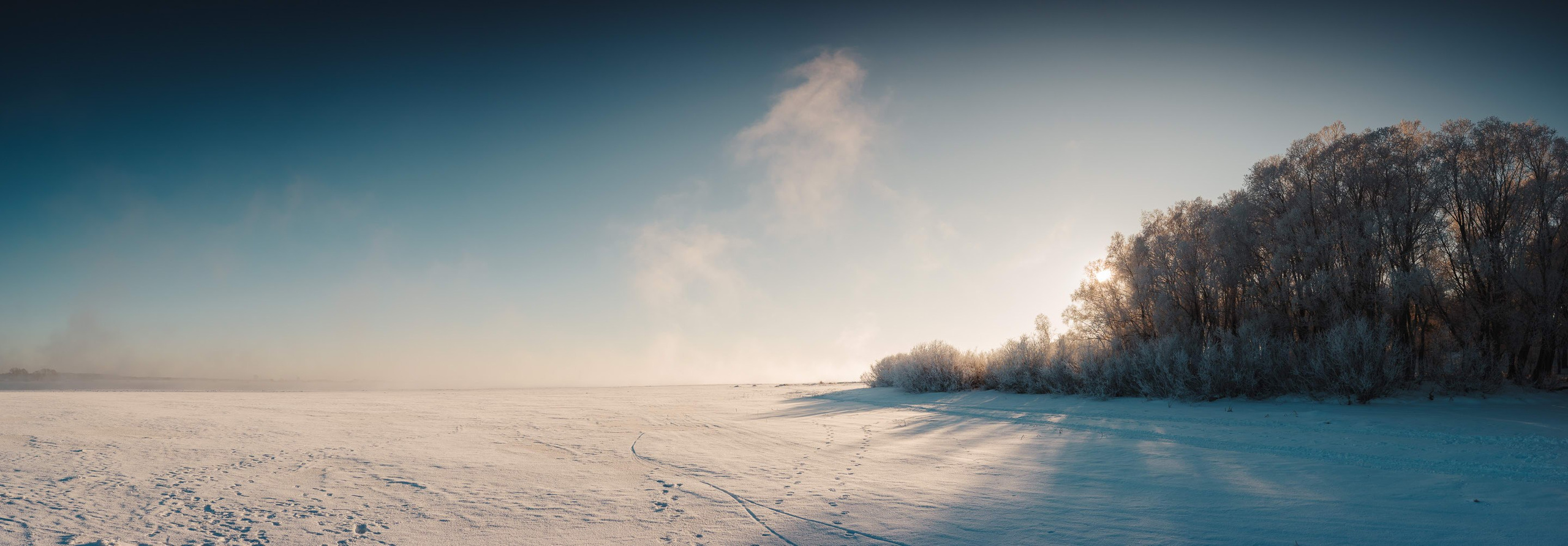 2024.01. Фотограф Алексей Алексеев