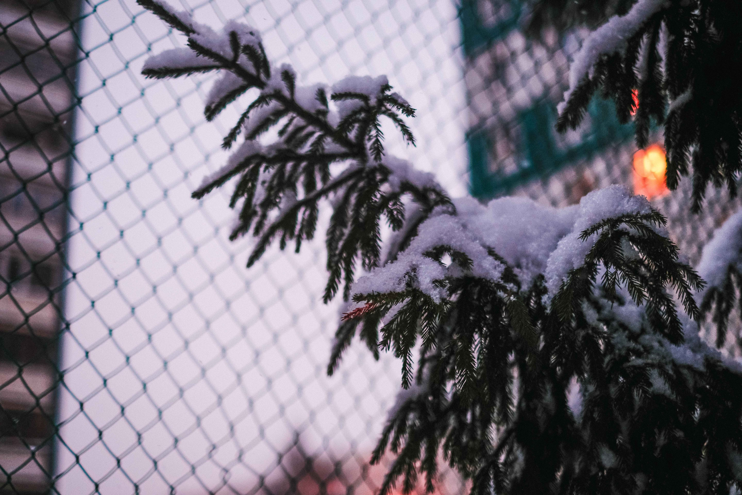 2021.12. Фотограф Алексей Алексеев
