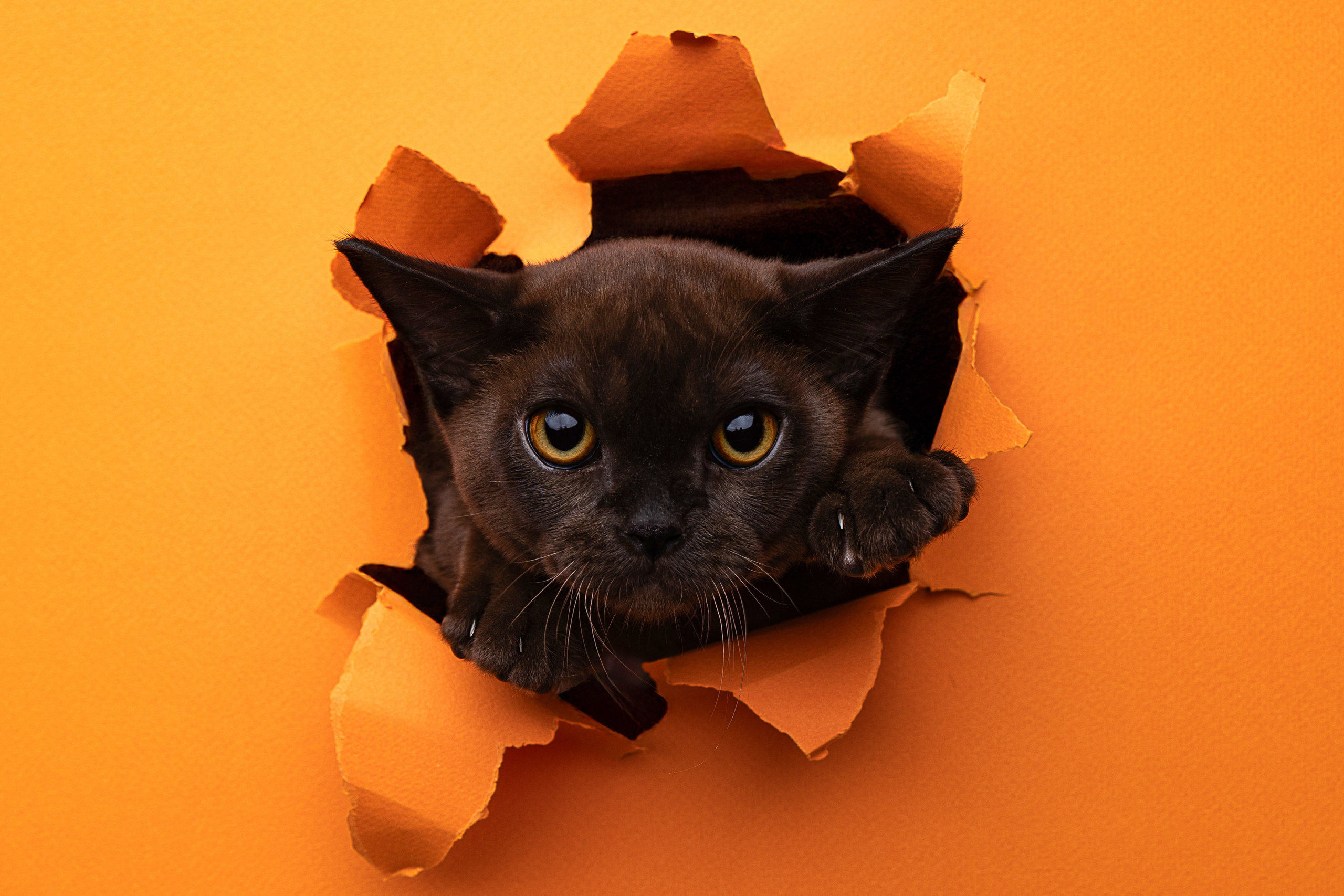 ЮRA. Делаю красиво