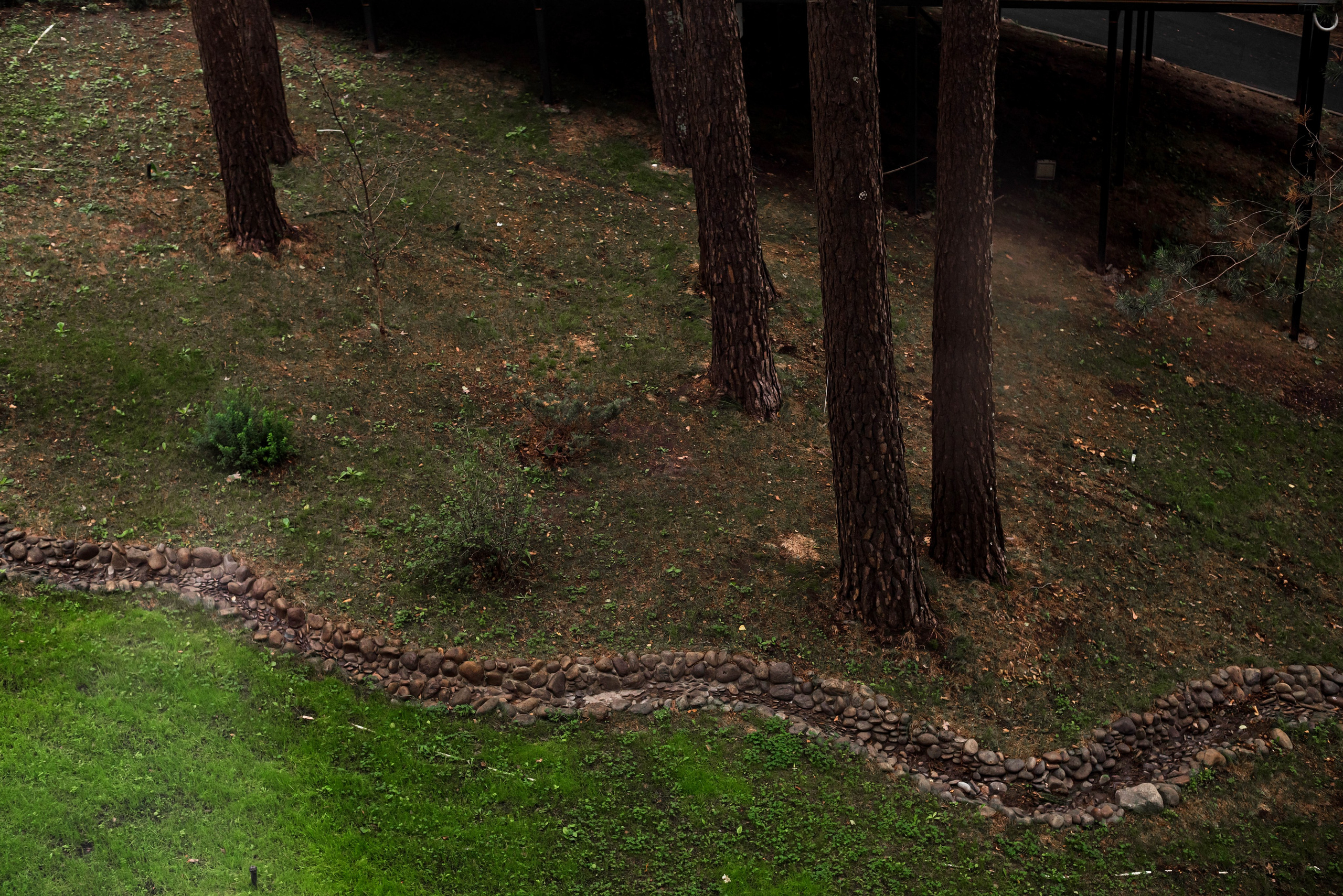 Total black. Свадебный и семейный фотограф в Новосибирске, Санкт-Петербурге, Москве