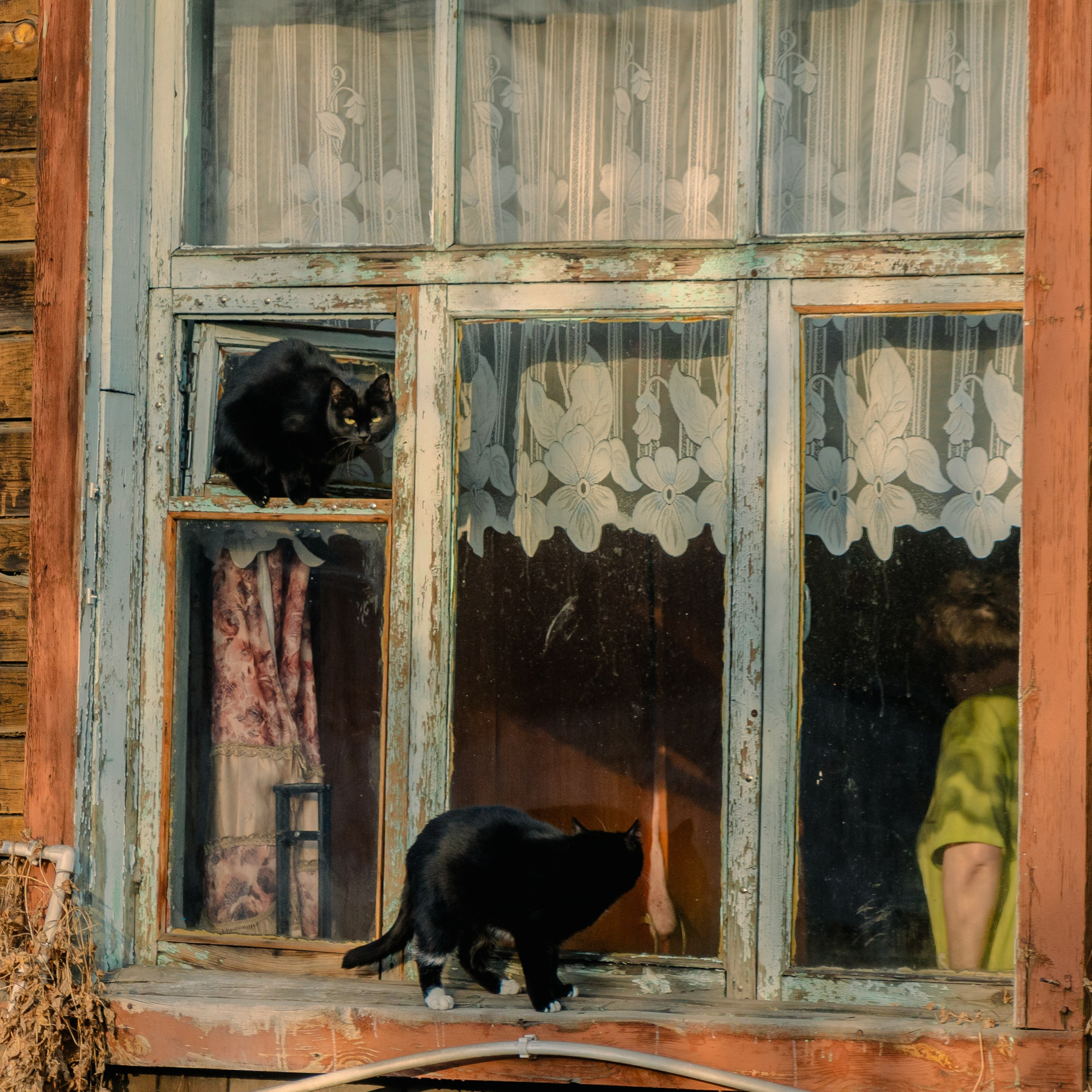 Чита, Апрель 2024