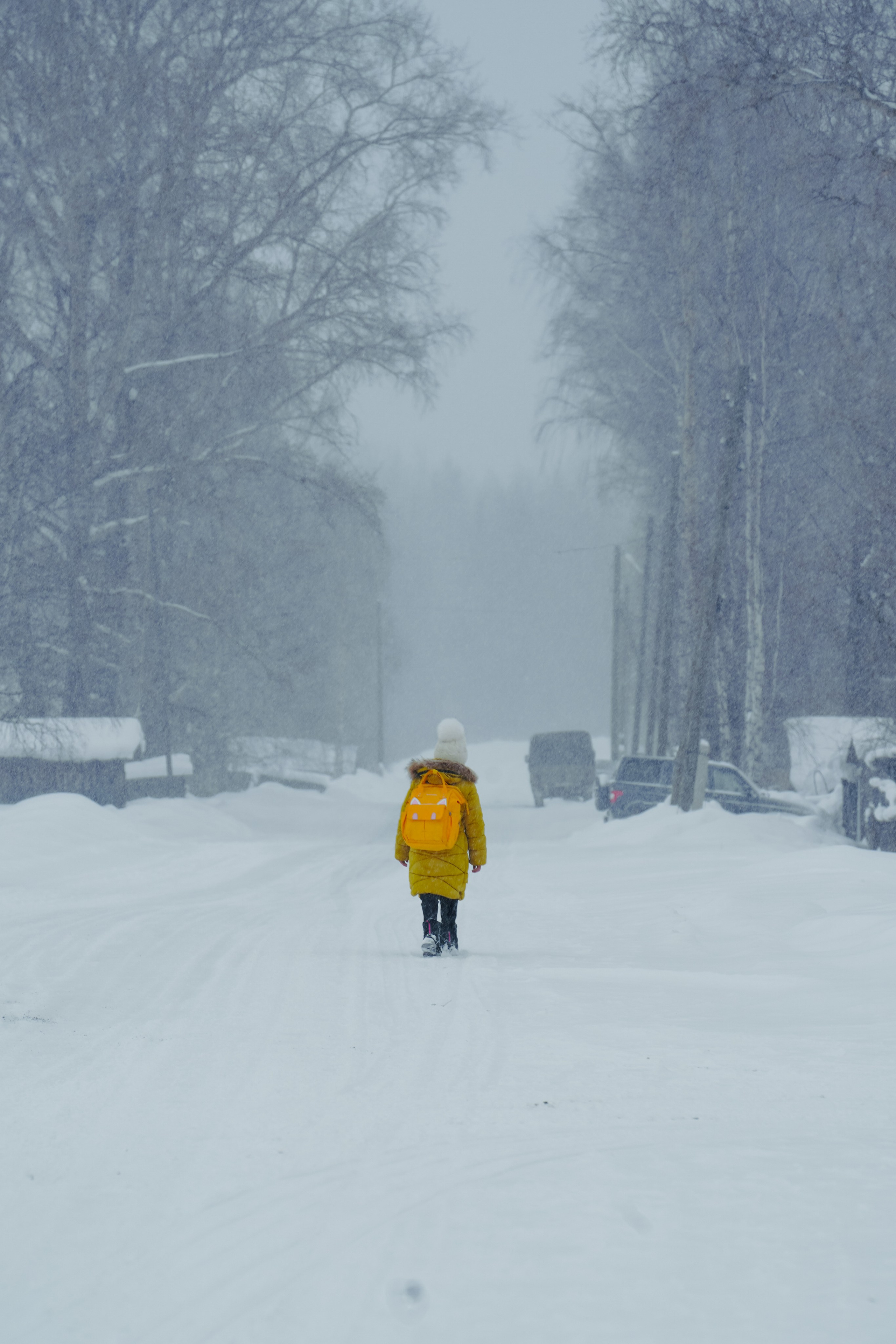 Кировская область, Февраль 2022