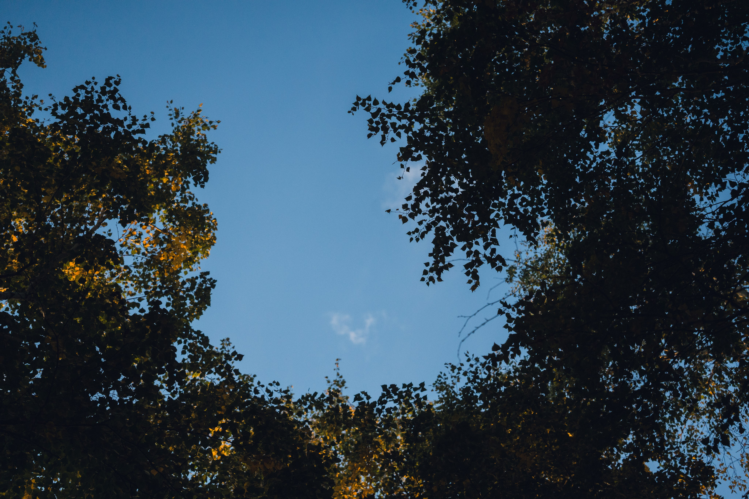 Усть-Каменогорск, Сентябрь 2024