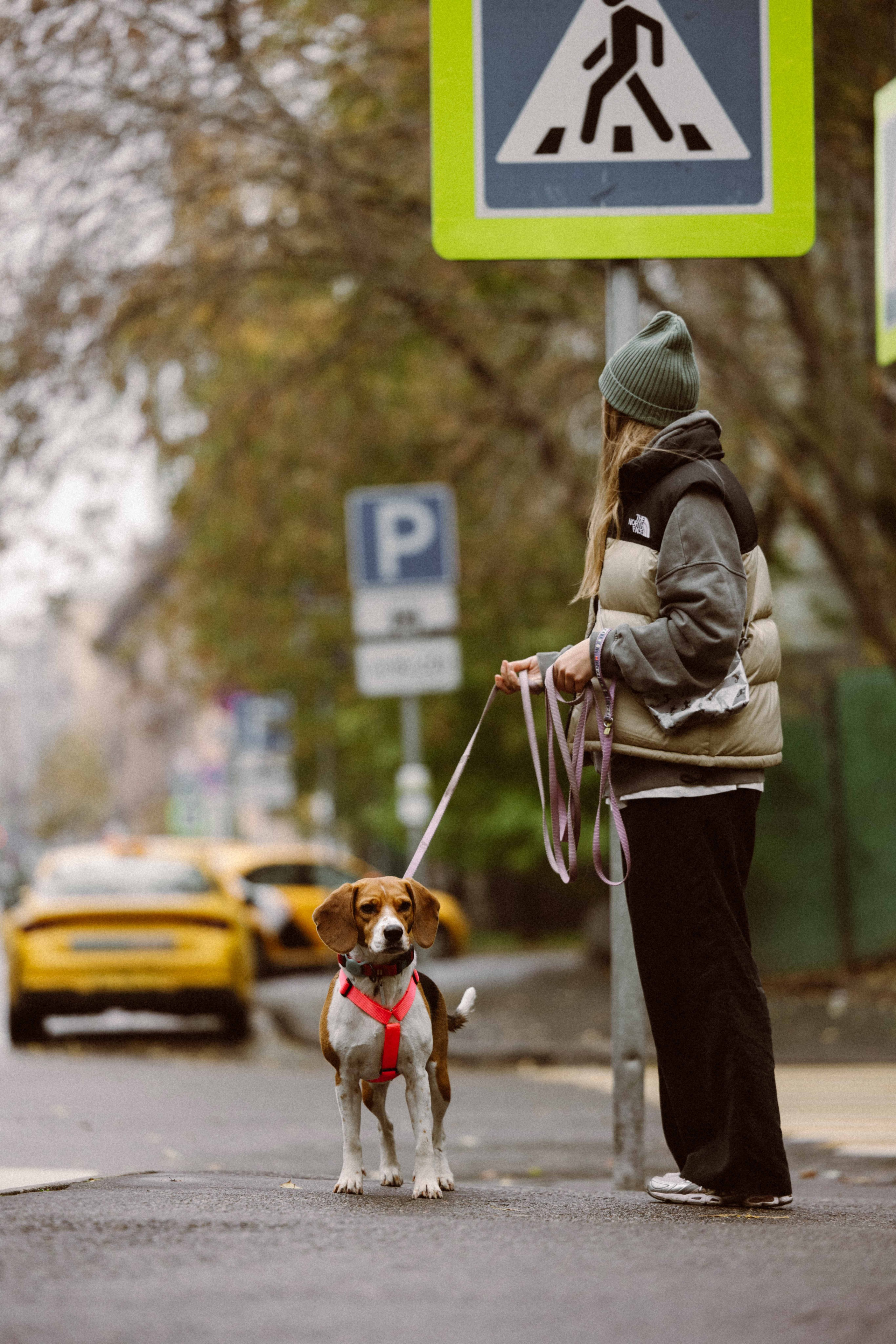 Света и Ива. Фотограф-анималист в Москве Лера Черноног