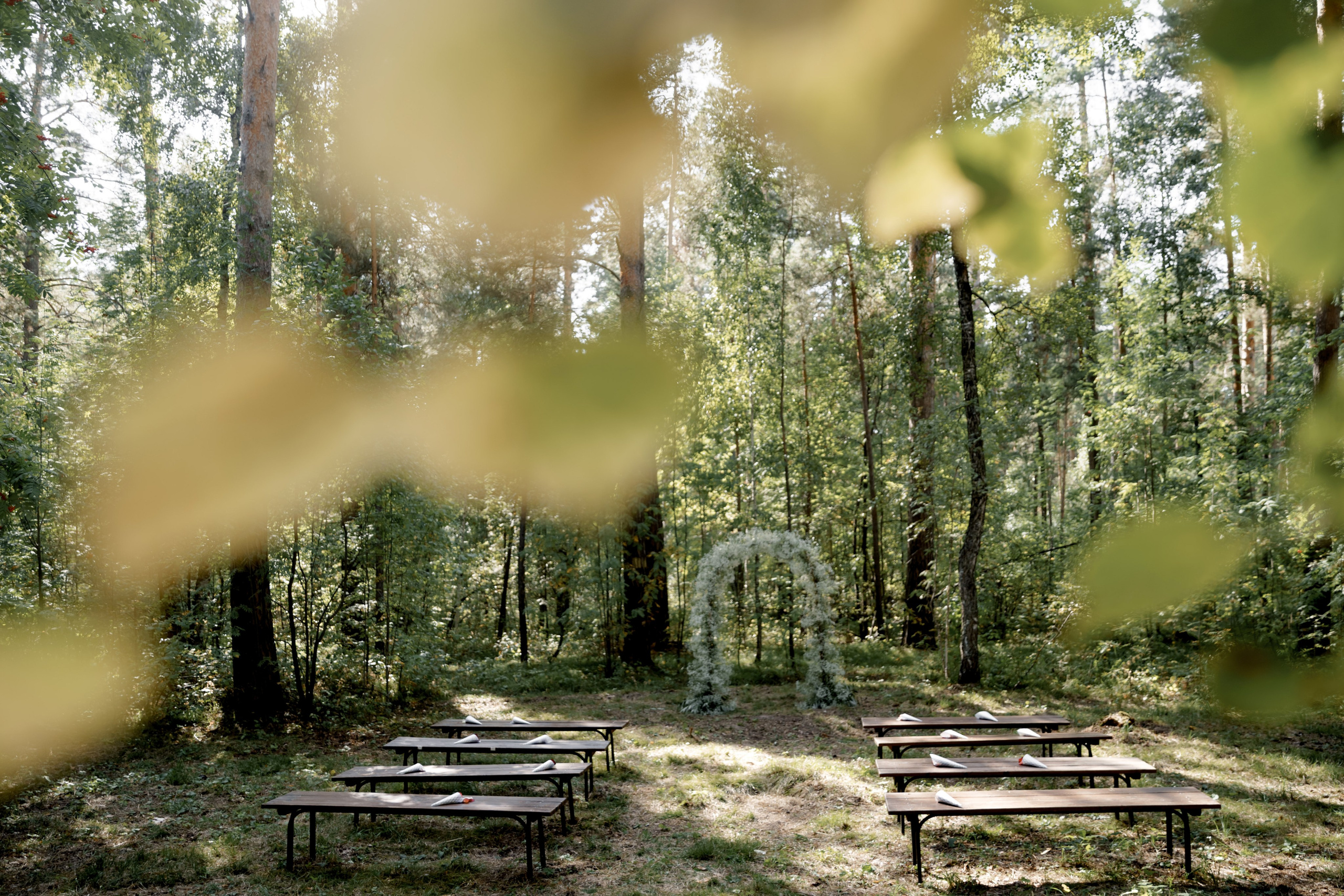 Антон и Катя. Организатор свадеб Барнаул/Алтай/Дагестан