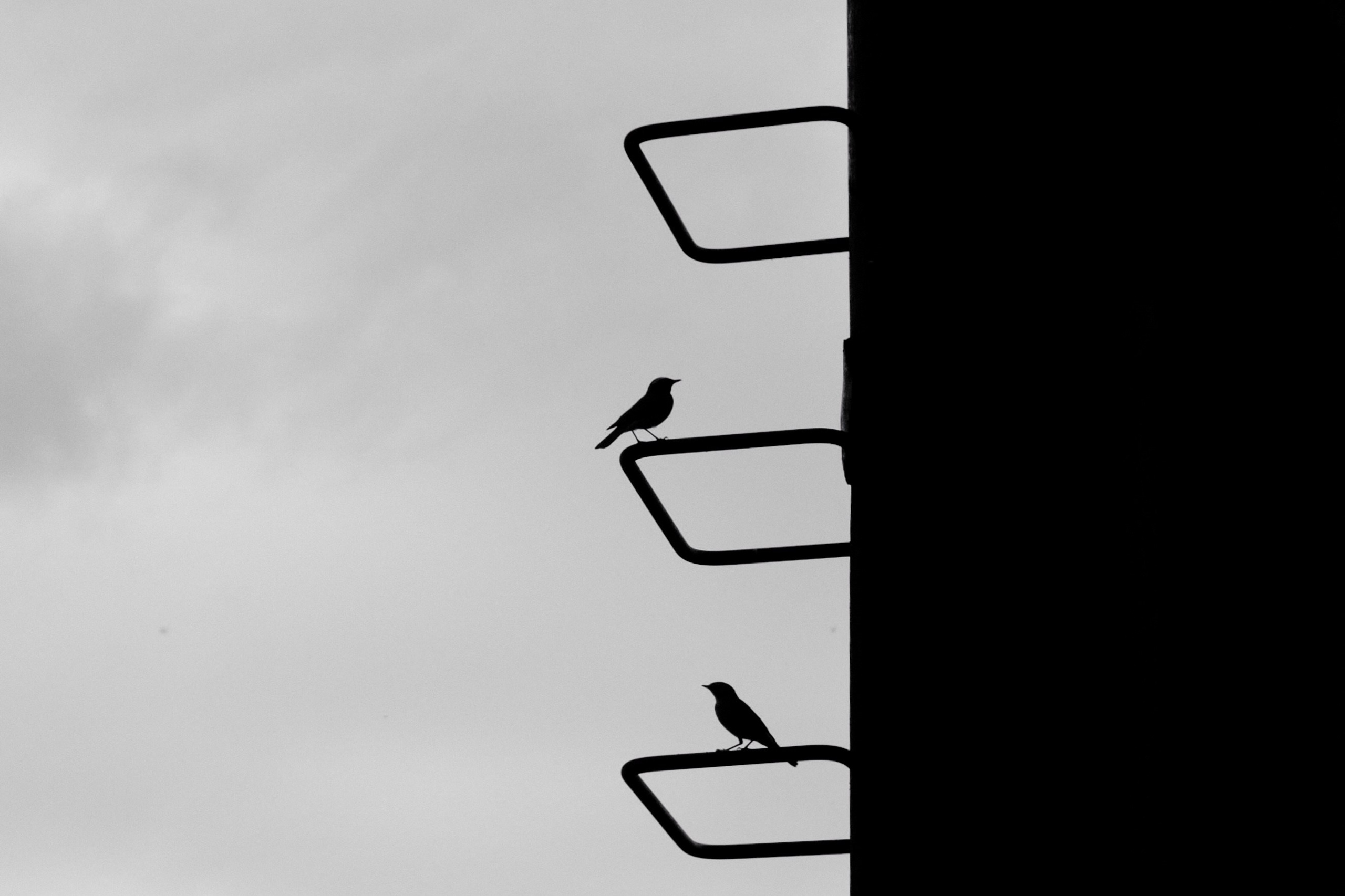 ЧБ. Фотограф-любитель из Кирова Андрей Погребняк