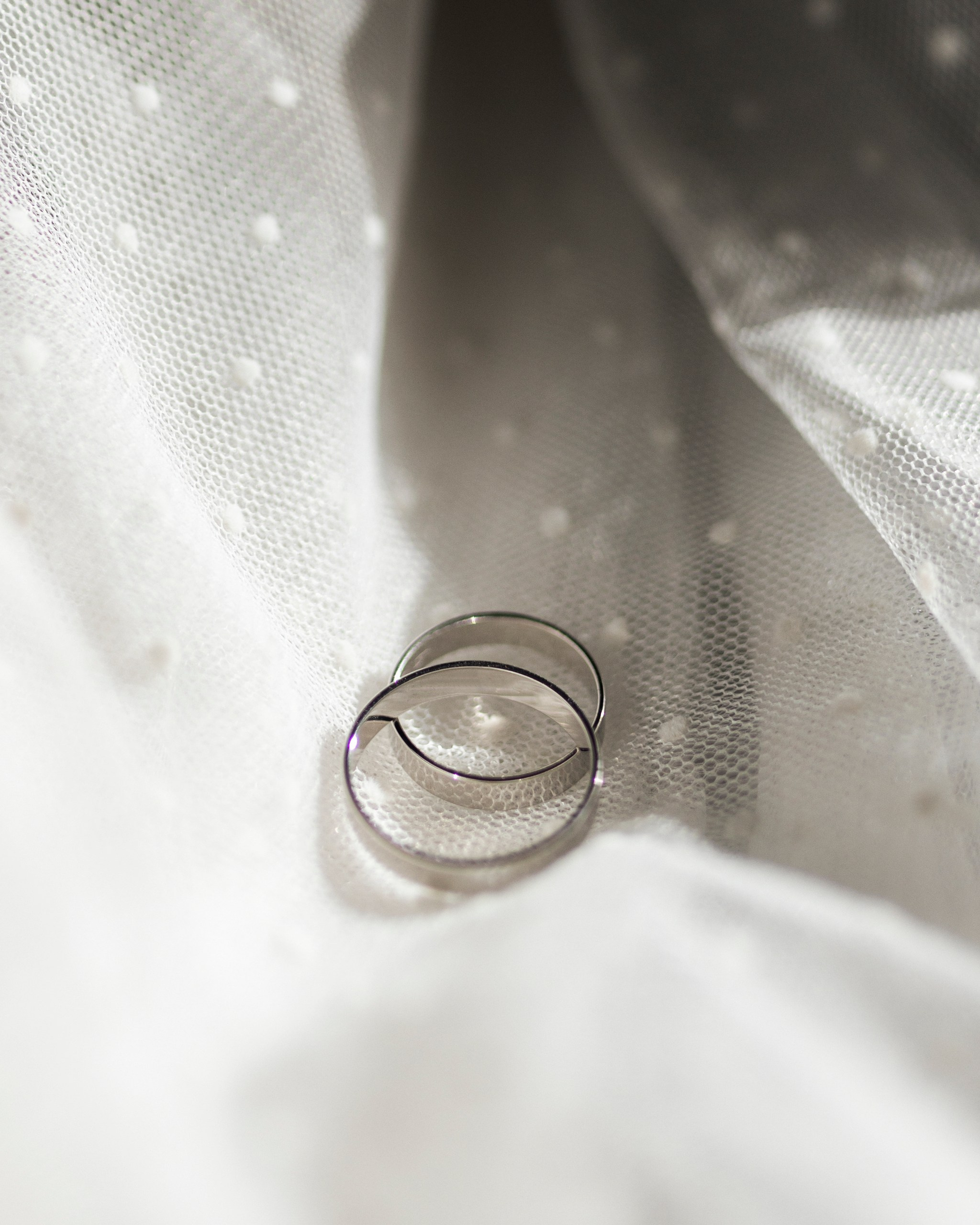 Континенталь. Фотограф в Москве |Дарья