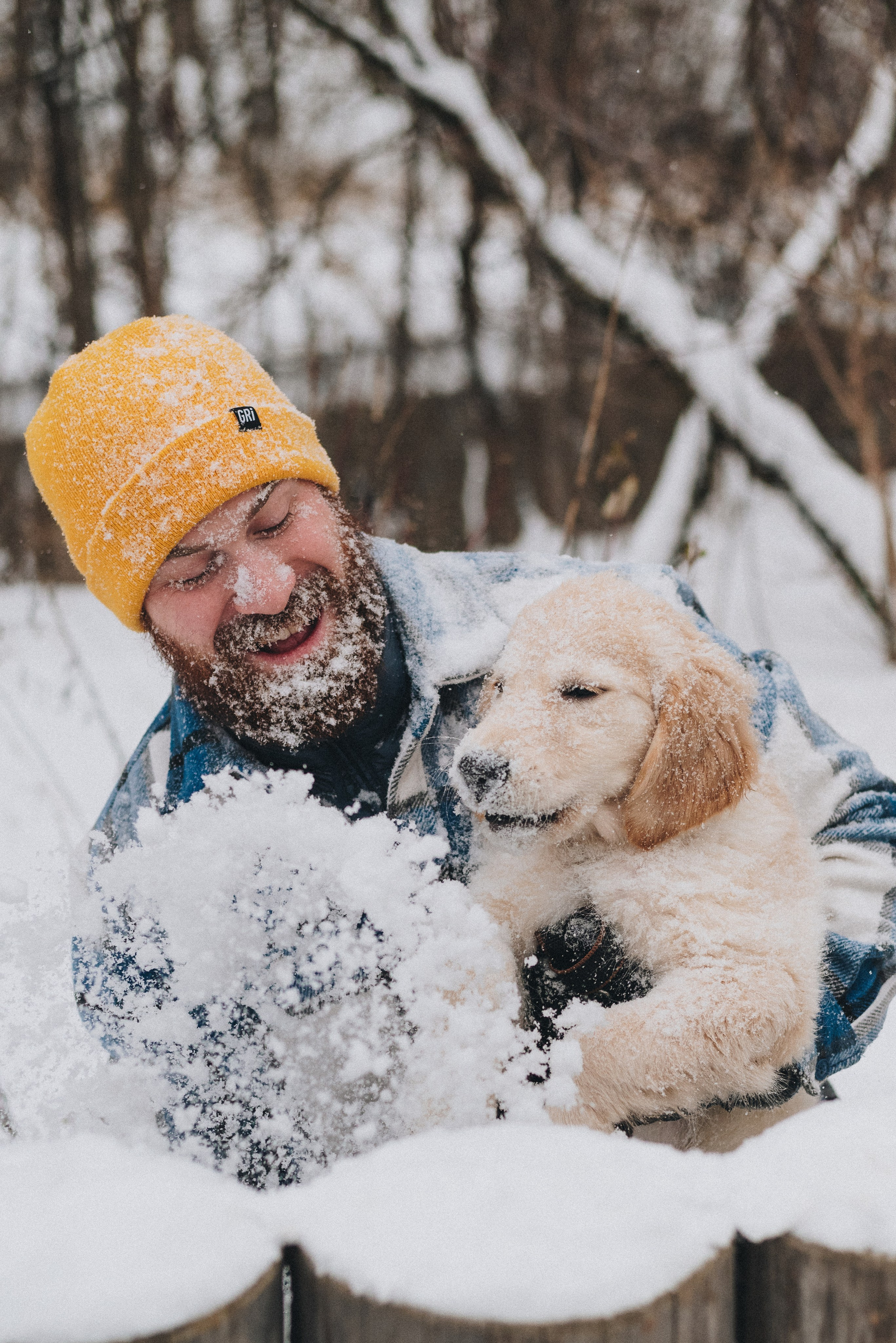 Sonia, Denis & Baggi. Natalia Finch Photography — Family, Kids & Pet Photographer in Chicago, IL