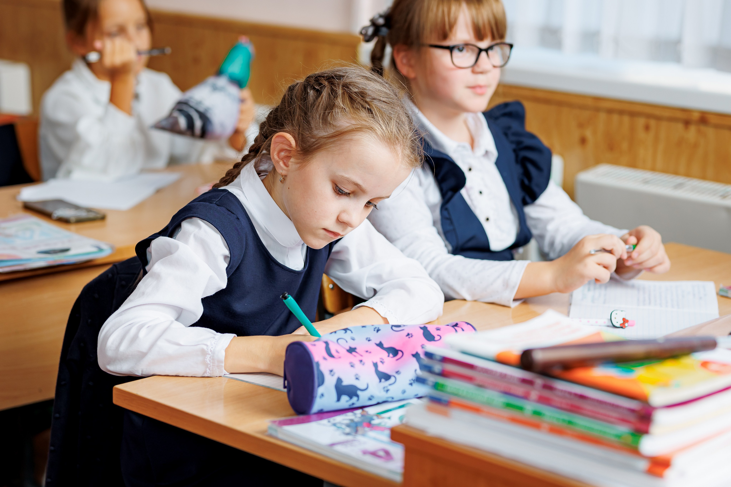 Репортаж на уроках. Семейный и детский фотограф Комина Елена, Власиха, Одинцово