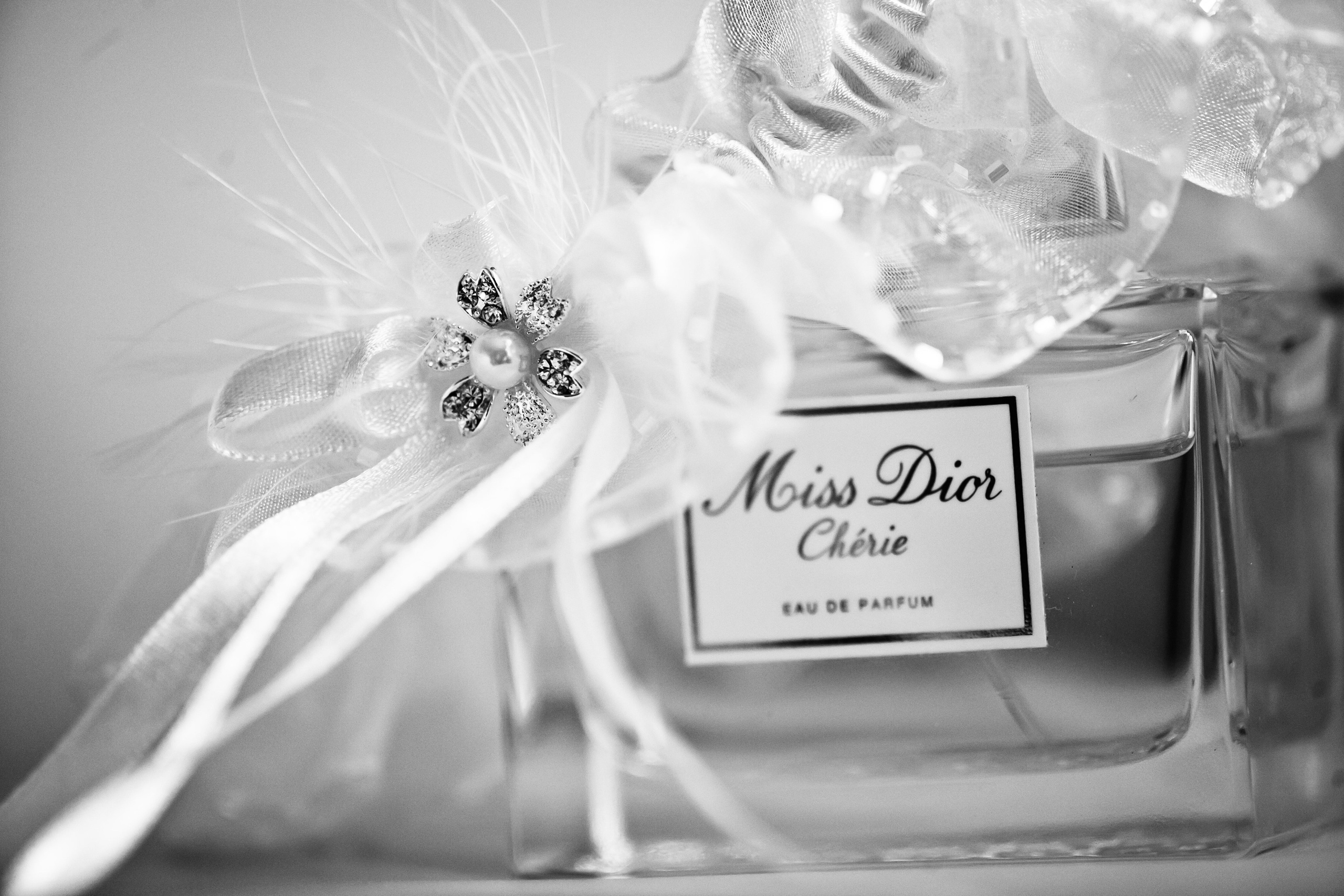 Свадебная съемка в тумане. Фотографы в Москве Светлана Устинова и Сергей Грачев