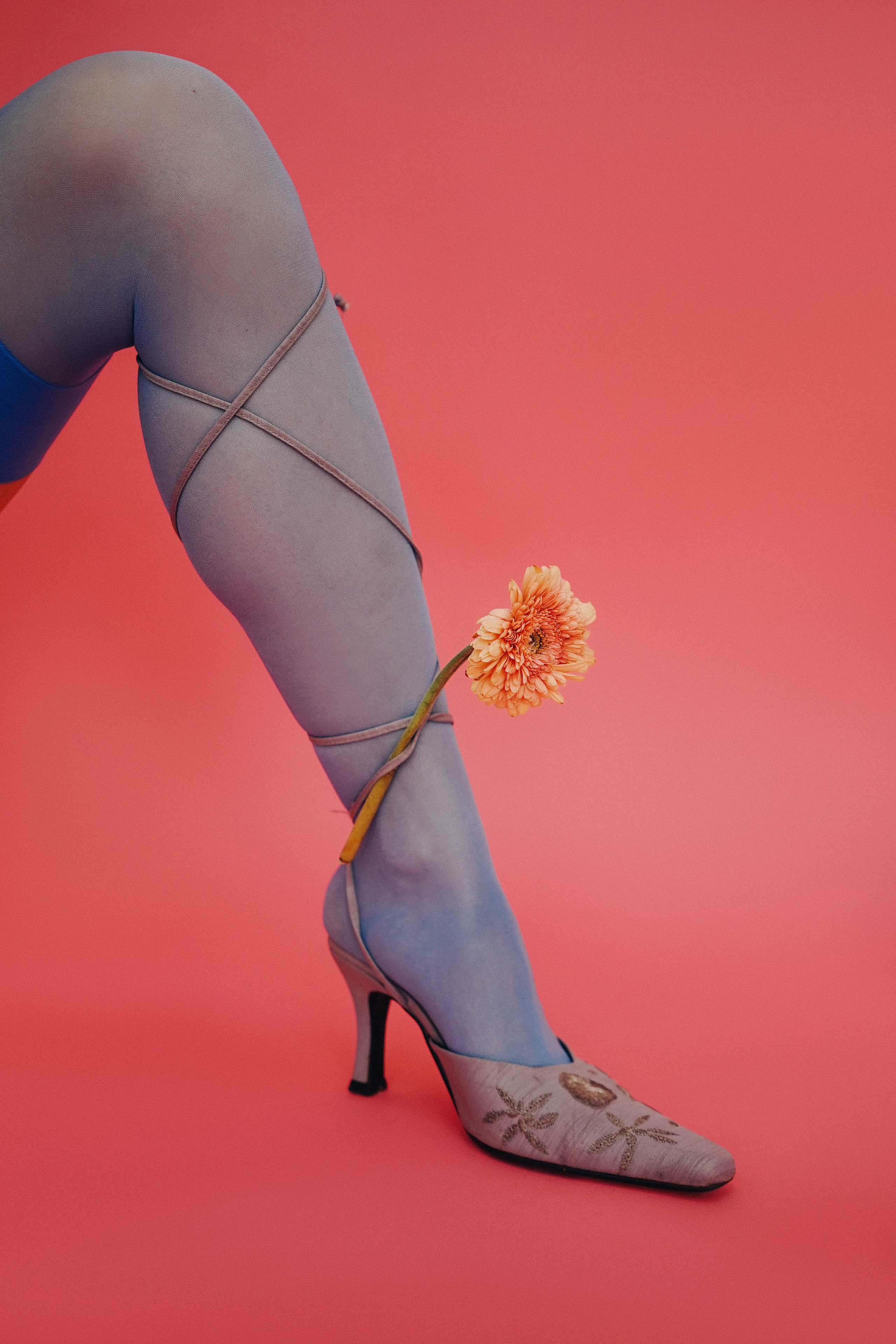 Game in gardener. Ксения Копна. Фотограф из Санкт-Петербурга