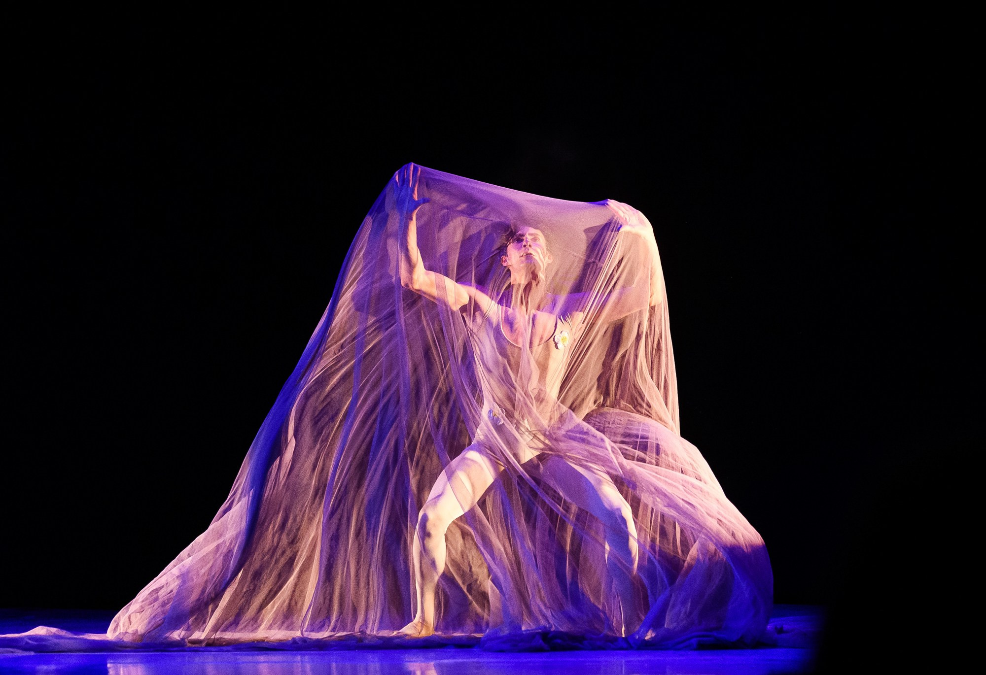 «Сотворение Мира» балет Театр Классического балета Касаткиной Василёва 2025 г