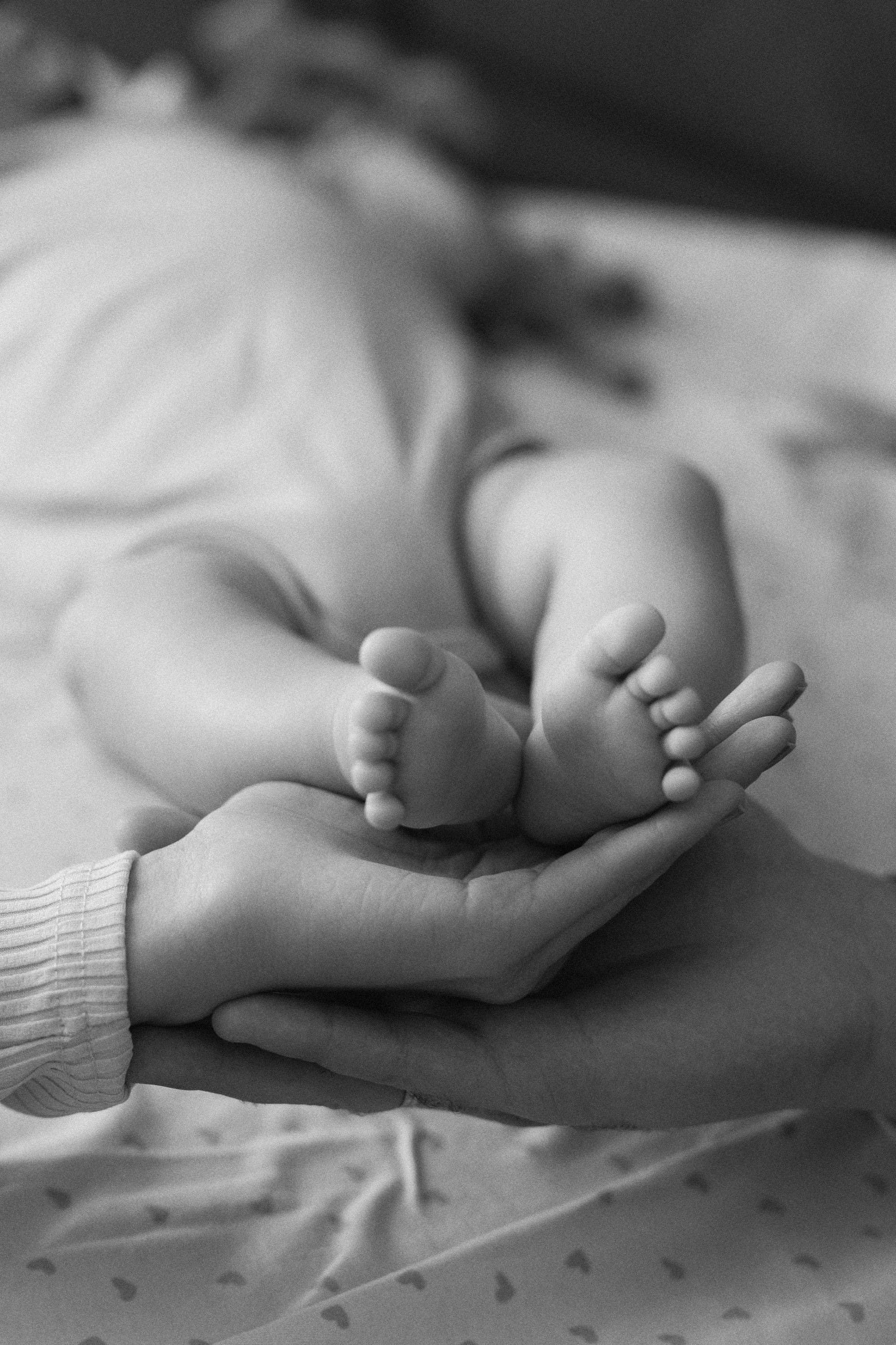 «ТРОЕ В ДОМЕ, НЕ СЧИТАЯ СОБАКИ». Maria Startseva Photo