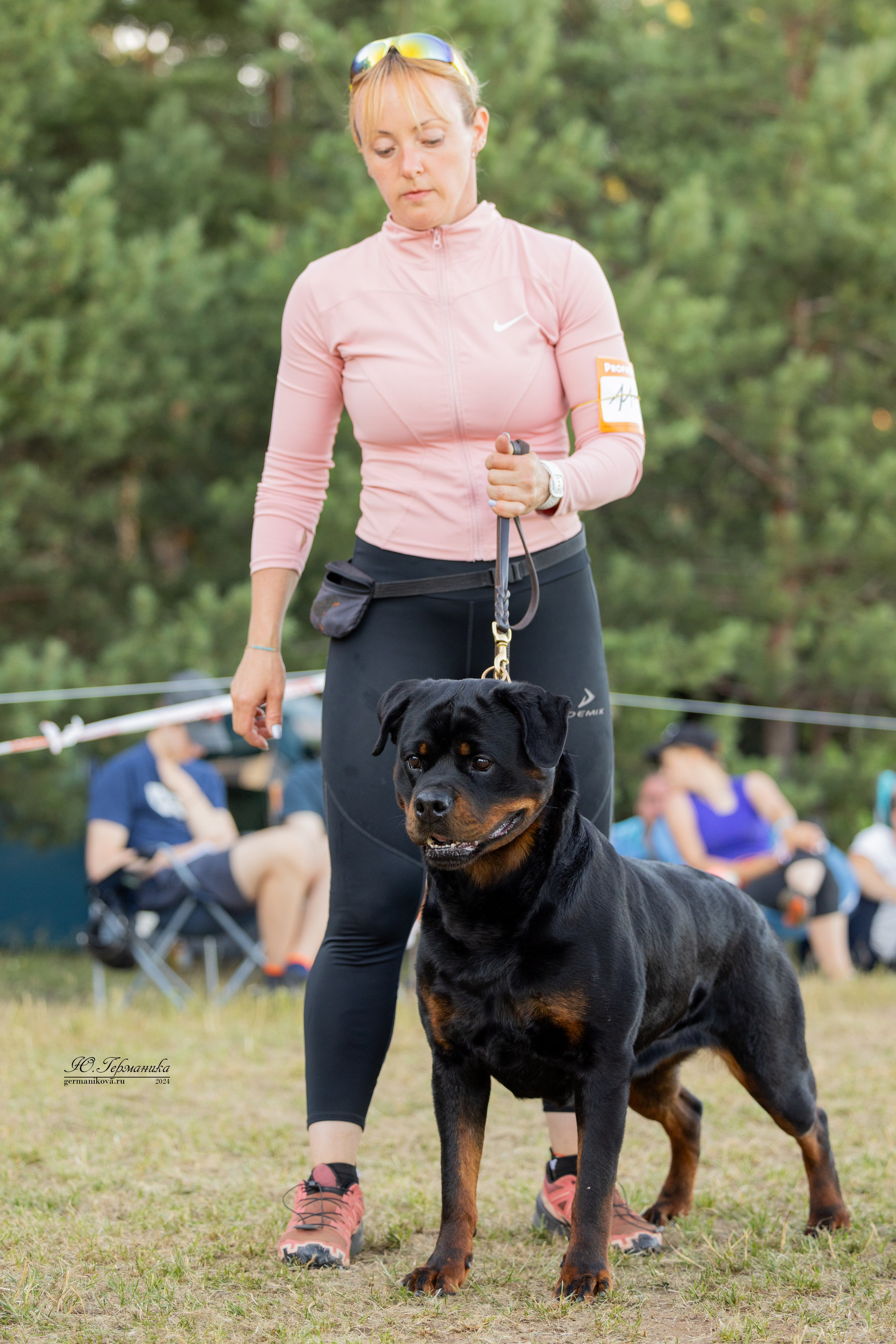 ПК и КЧК ротвейлеры Тверь 6-7.07.2024. Фотограф-анималист Юлия Германика