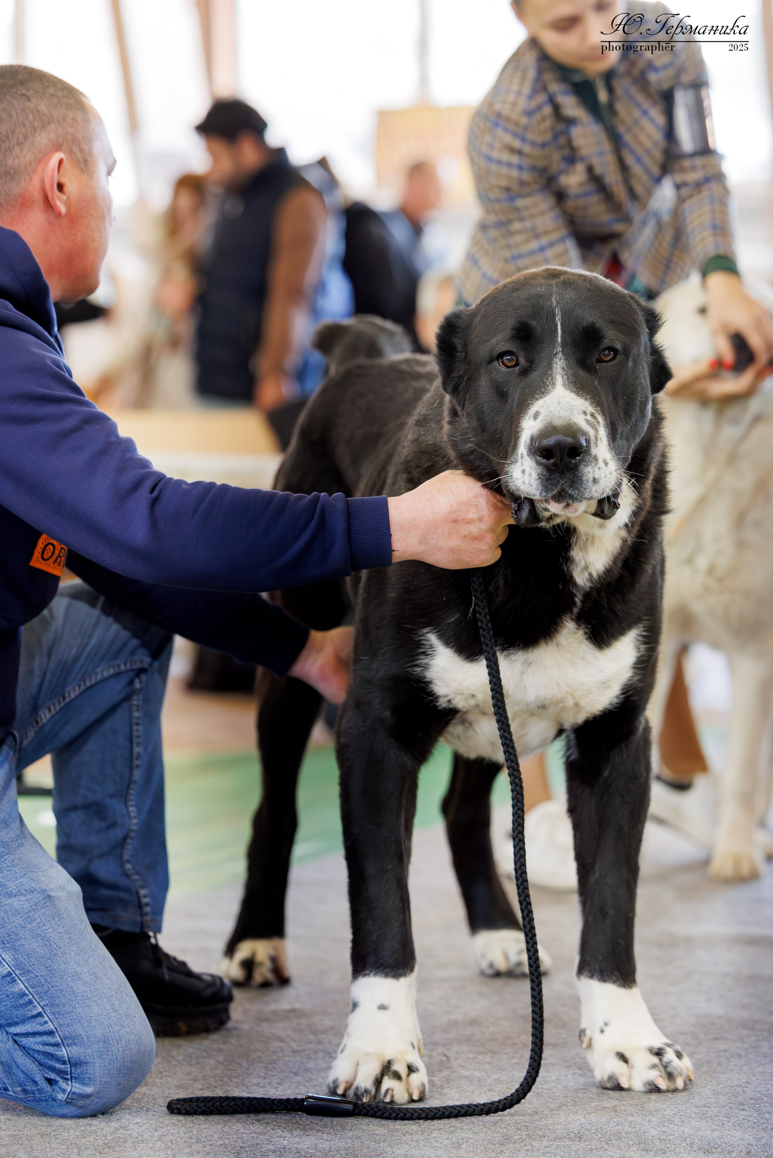 Тверь 12.04,Сфера 13.04,Сергиев Посад 19.04.2025. Фотограф-анималист Юлия Германика