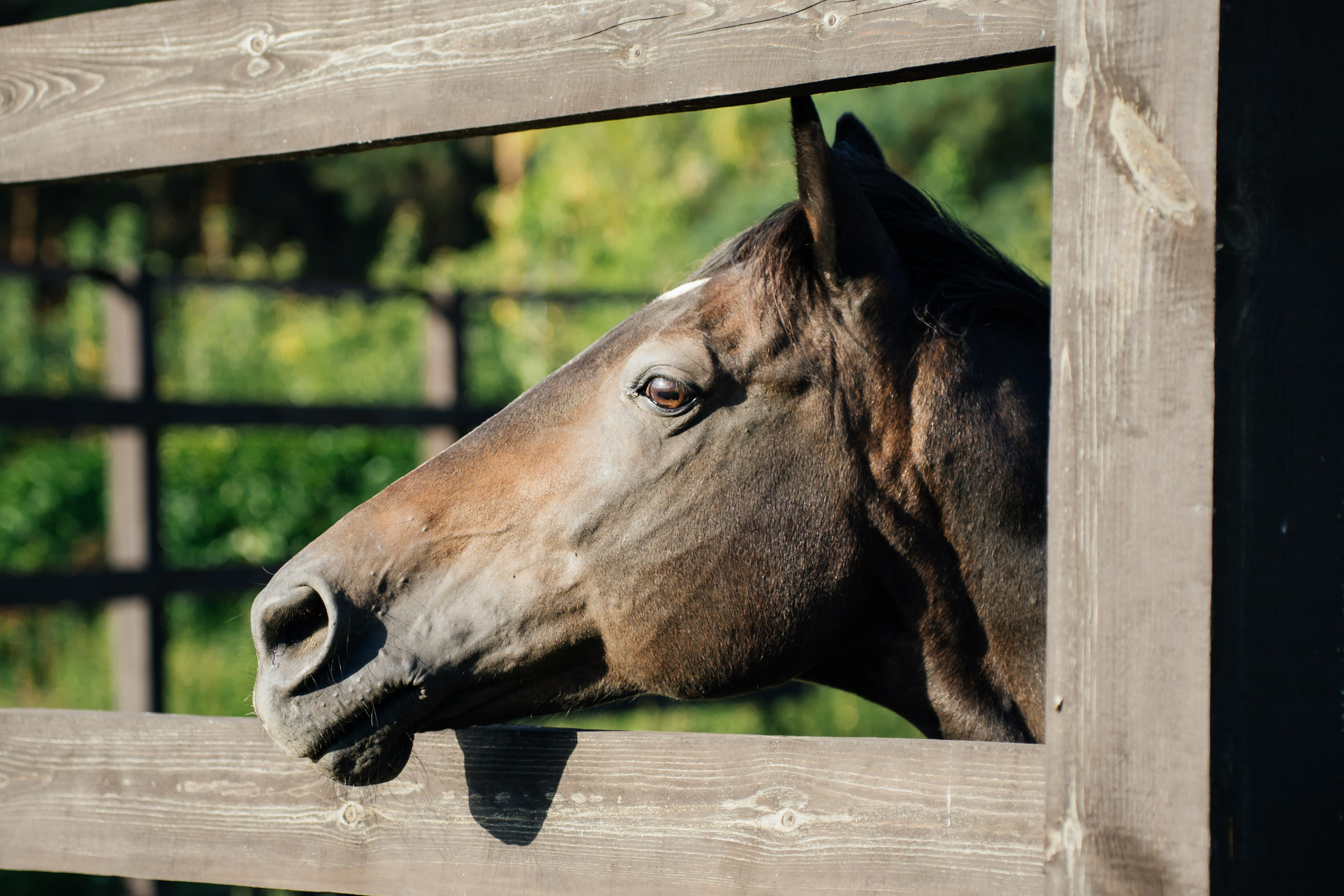 Свадебная сьемка. Видеограф и Фотограф в Челябинске Ксения и Владимир Рюмины