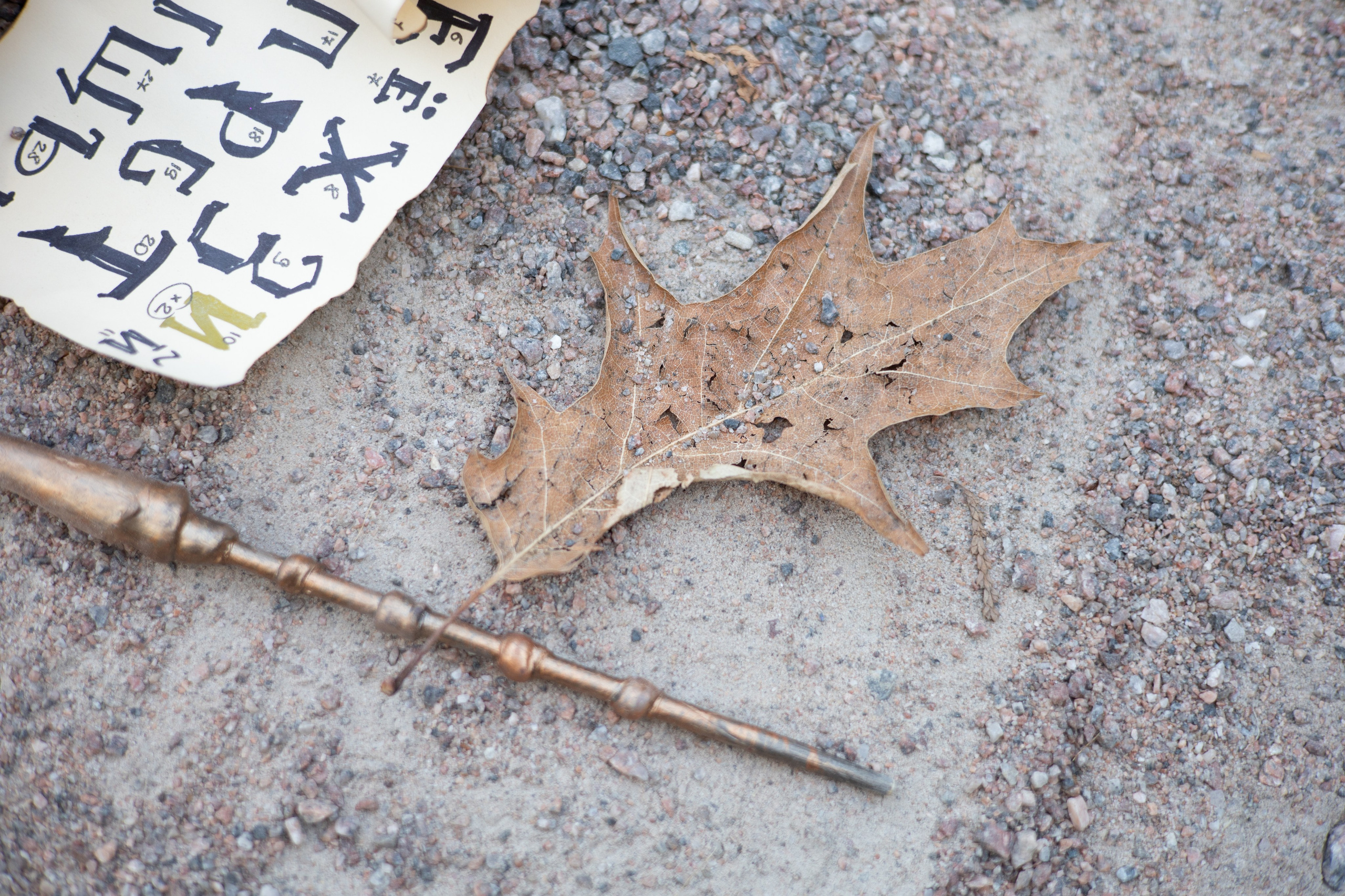Алиса. Съёмка по мотивам Гарри Поттера. Марина Лавинская Фотограф из Москвы