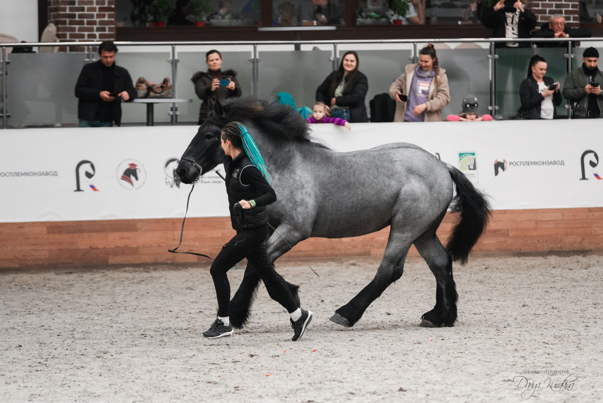 8-я международная выставка Конная Россия. Конный фотограф Куракина Дарья • Фотосессии с лошадьми