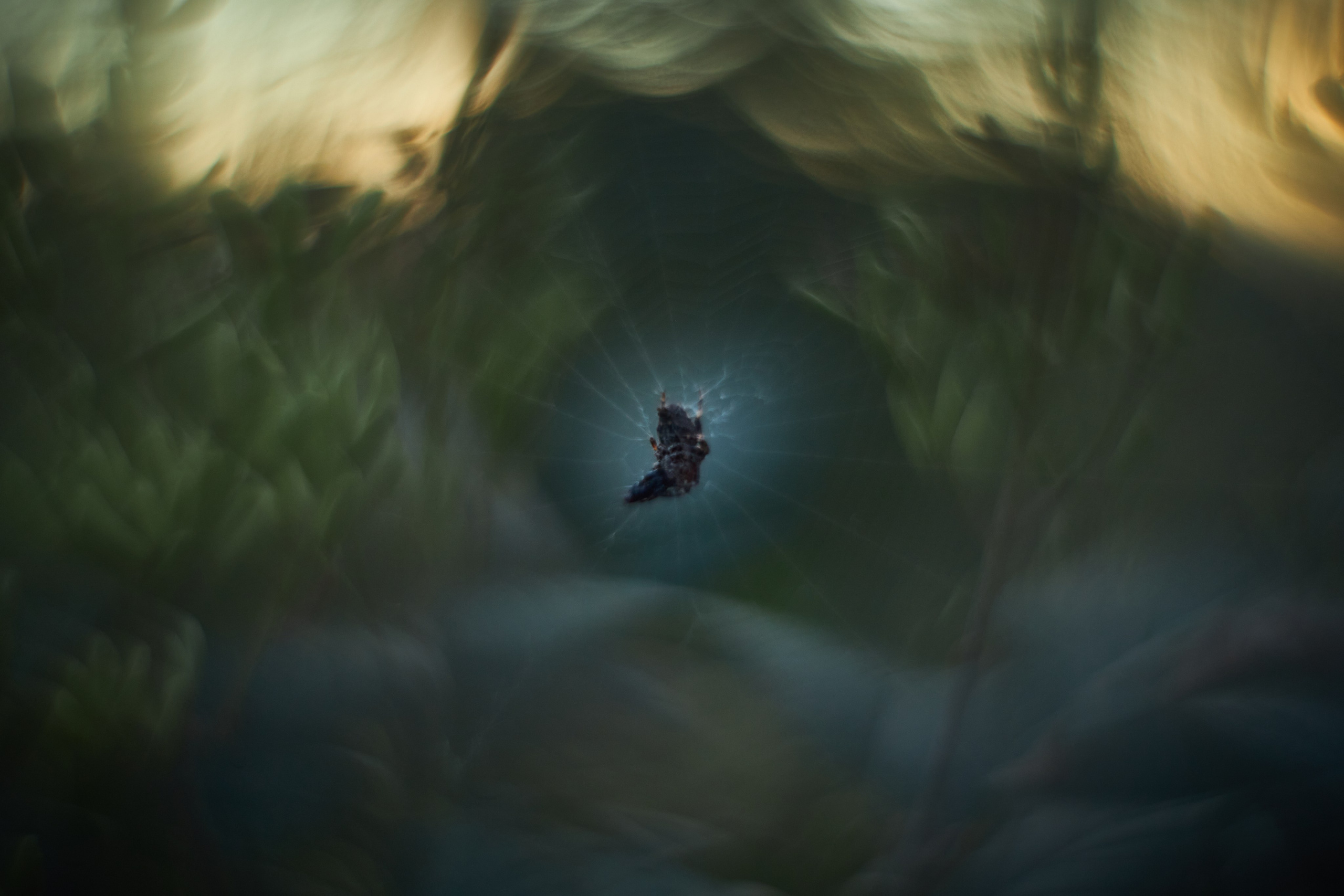 Арт-фотограф во Владивостоке Дмитрий Осипчук