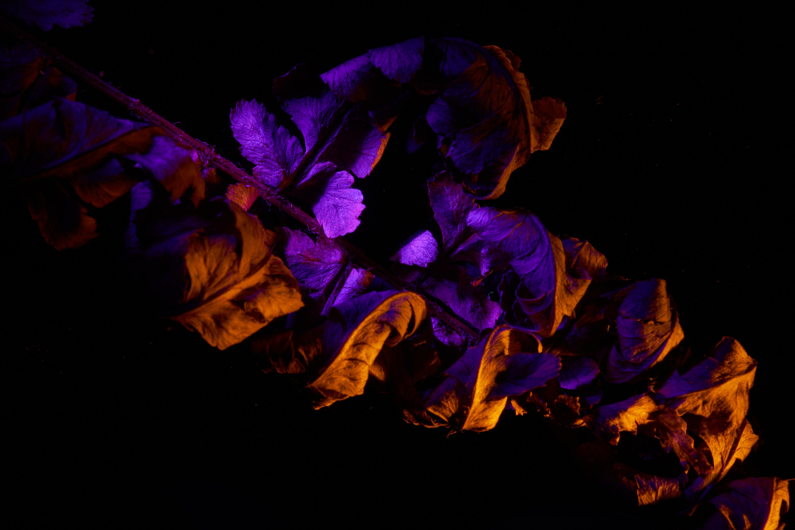 Арт-фотограф во Владивостоке Дмитрий Осипчук