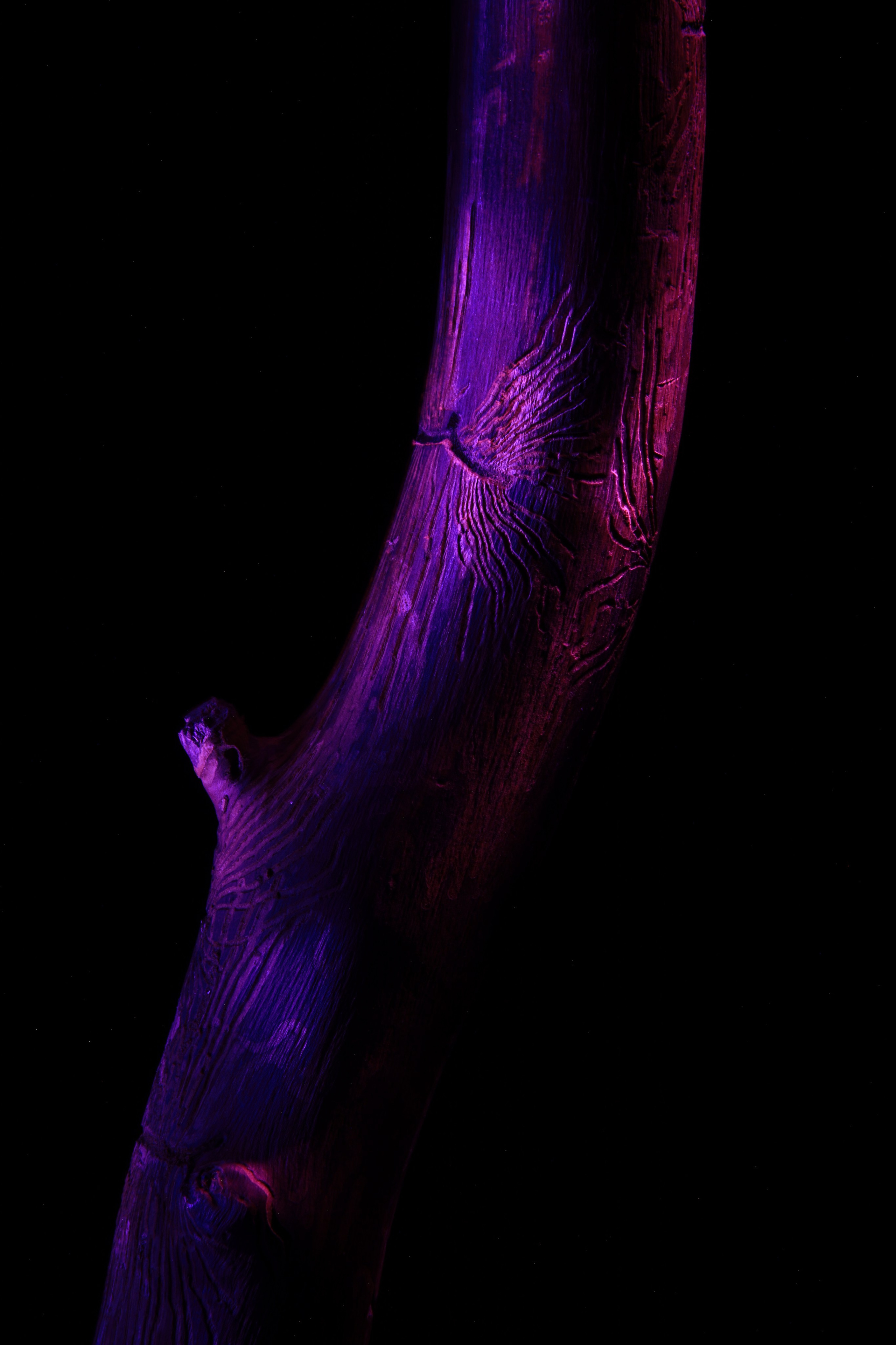 «Красок Тьма Полна». Арт-фотограф во Владивостоке Дмитрий Осипчук