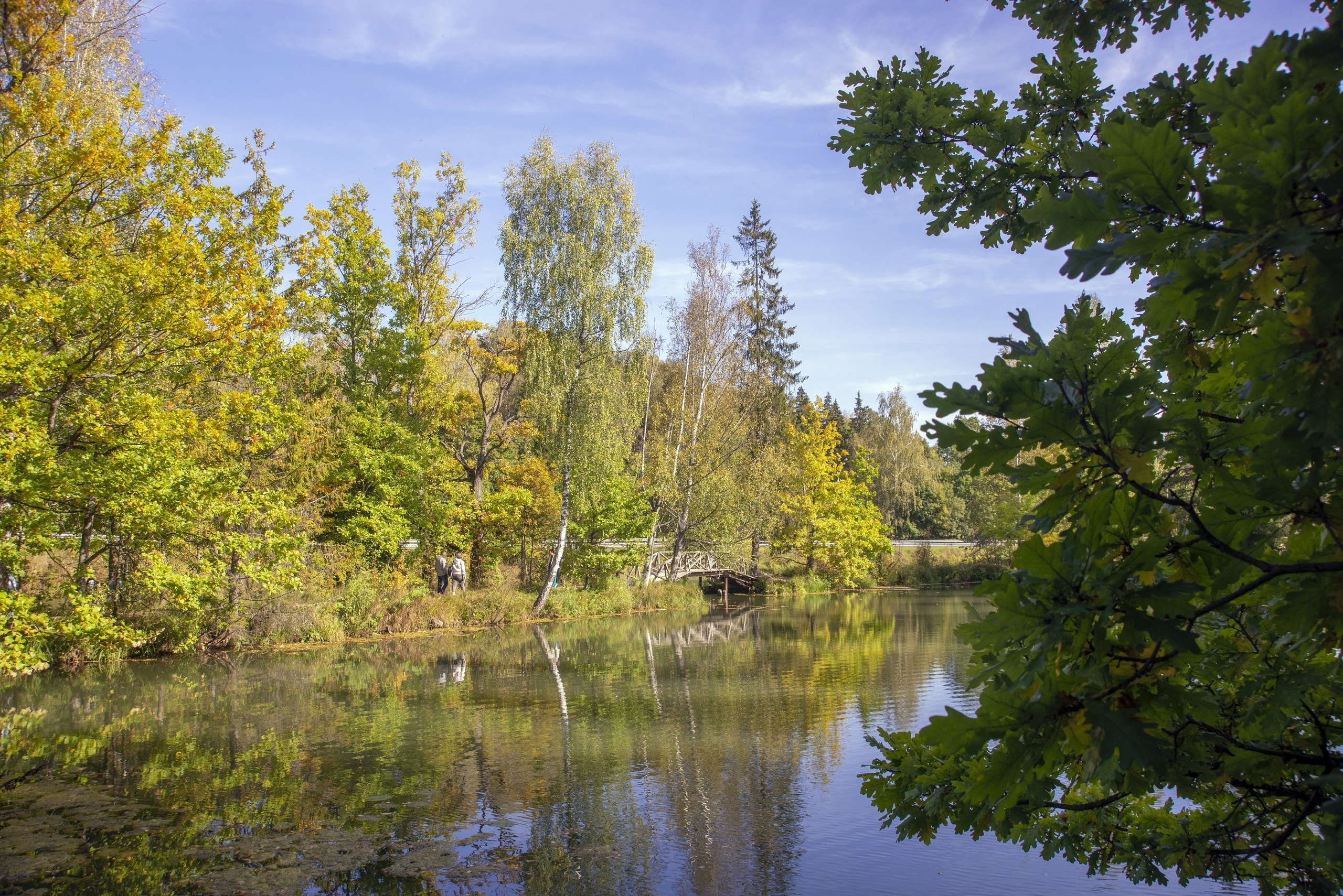 Абрамцево. Сентябрь 2023. Игорь Жучков. Россия увиденная глазами путешествующего фотографа
