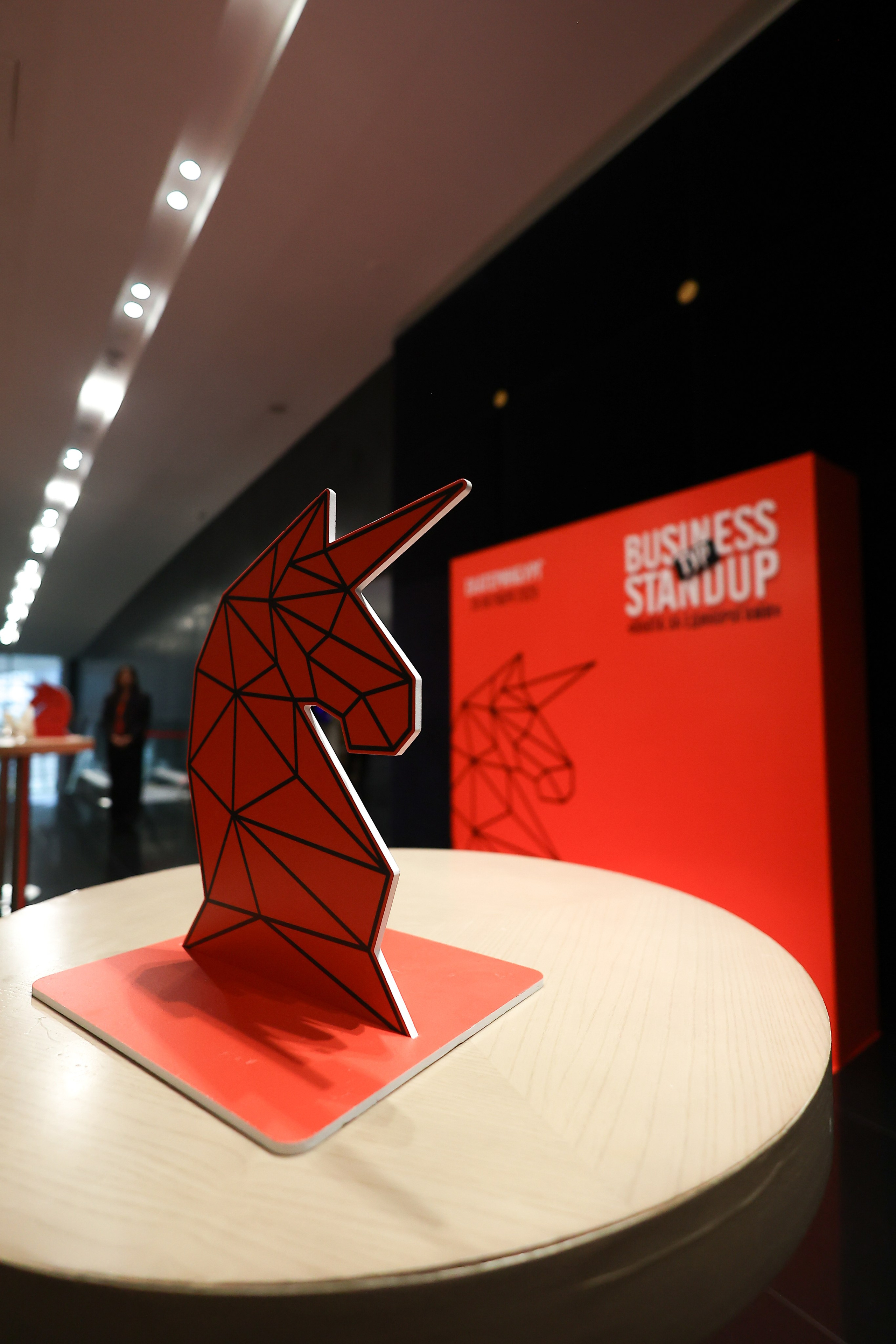 Оскар Хартманн. Business standup тур. Александра, репортажный и событийный фотограф