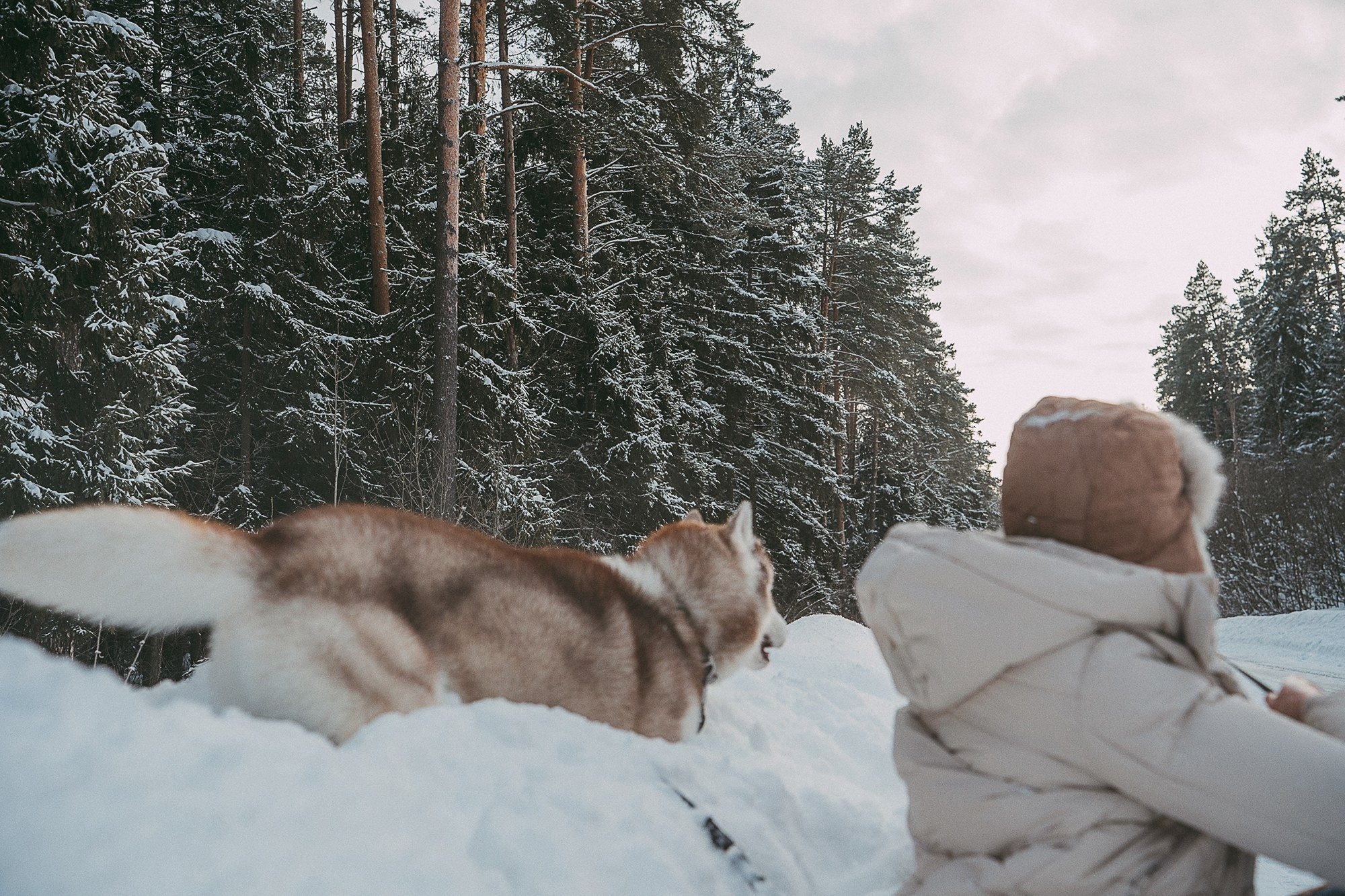 Полина, Уго и Пышка. Фотограф анималист в Москве и Санкт-Петербурге Свиридова Анна