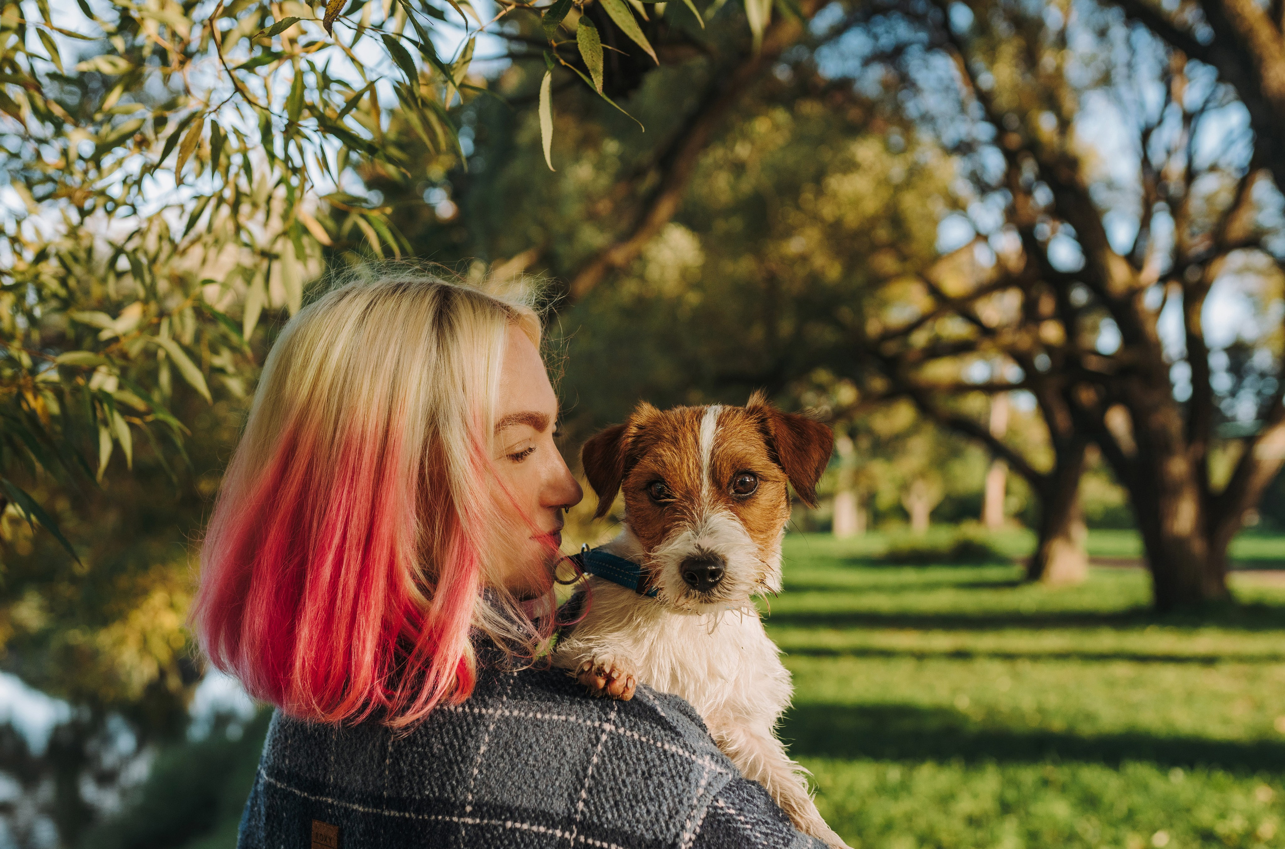 Фотосессия с маленькой собакой Спб. Фотограф анималист в Спб недорого Олеся Майорова