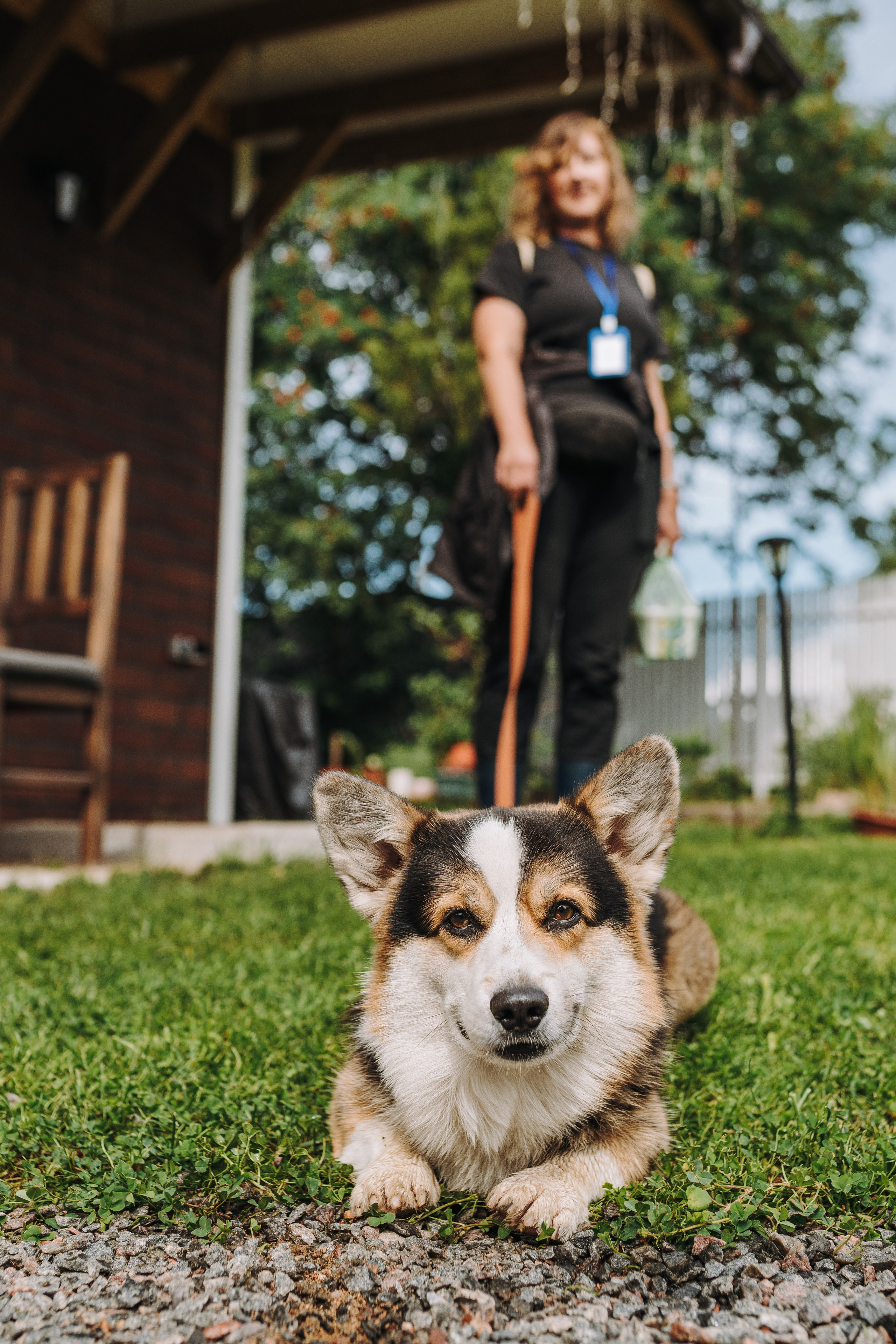 Соревнования по ноузворку в Новожилово. Фотограф анималист в Спб недорого Олеся Майорова